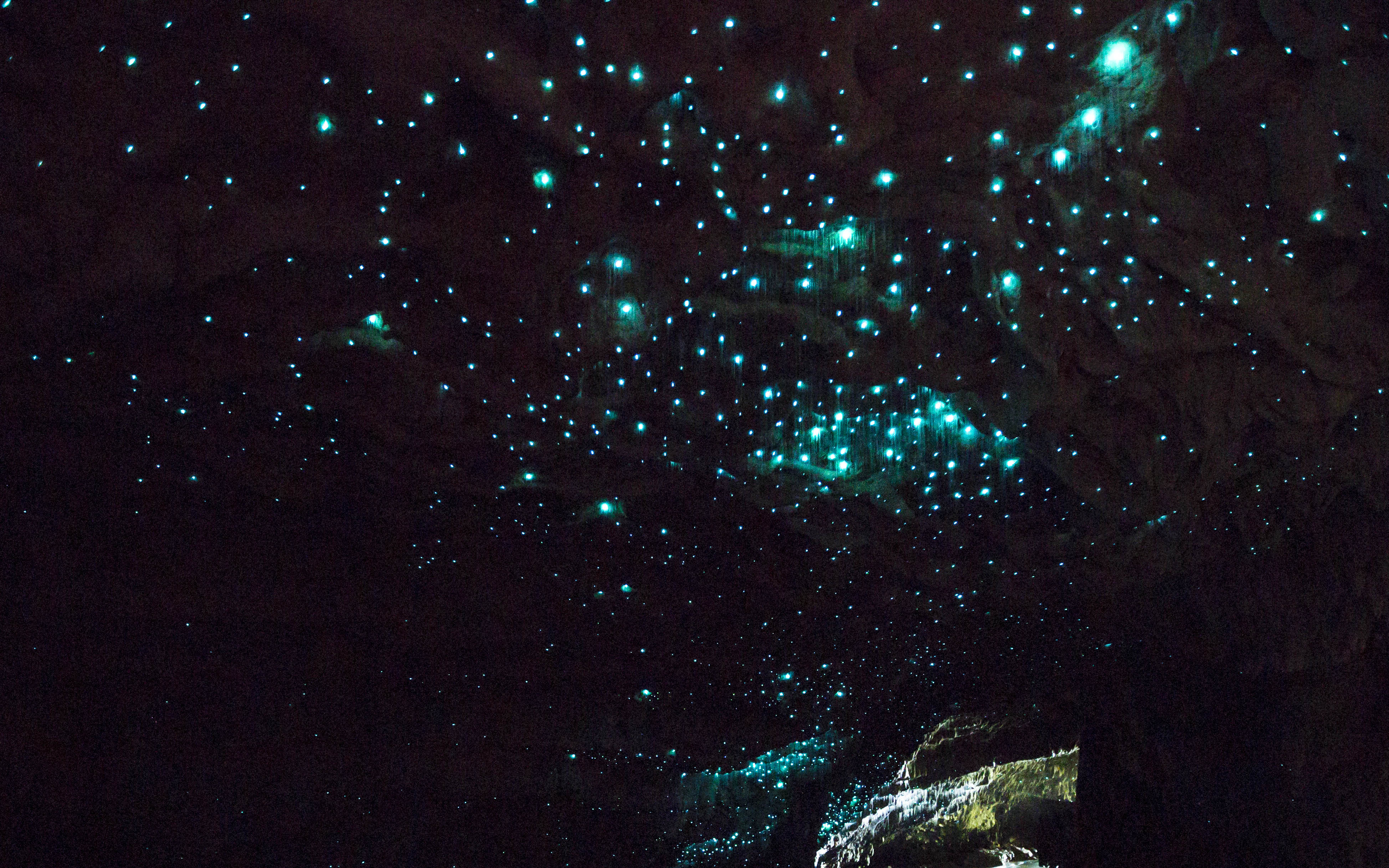 Glow Worm Tour Te Anau Glow Worm Tour Te Anau