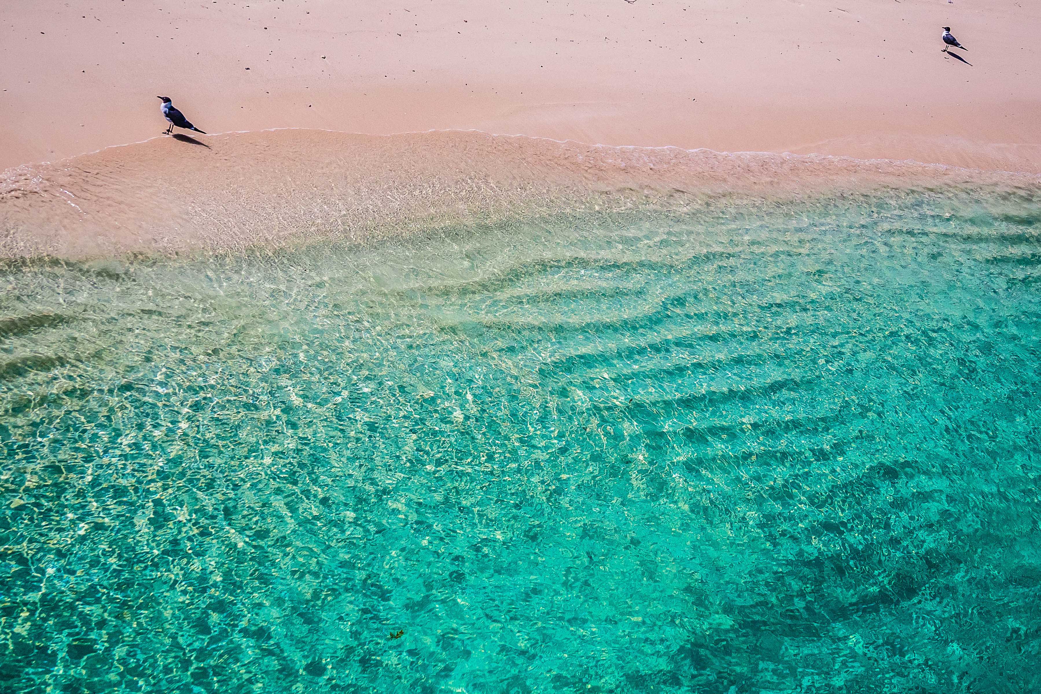 Where Is Harbour Island Bahamas Where Is Harbour Island Bahamas