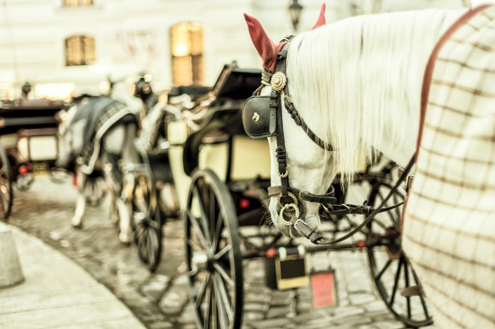 Kutschfahrt in Wien