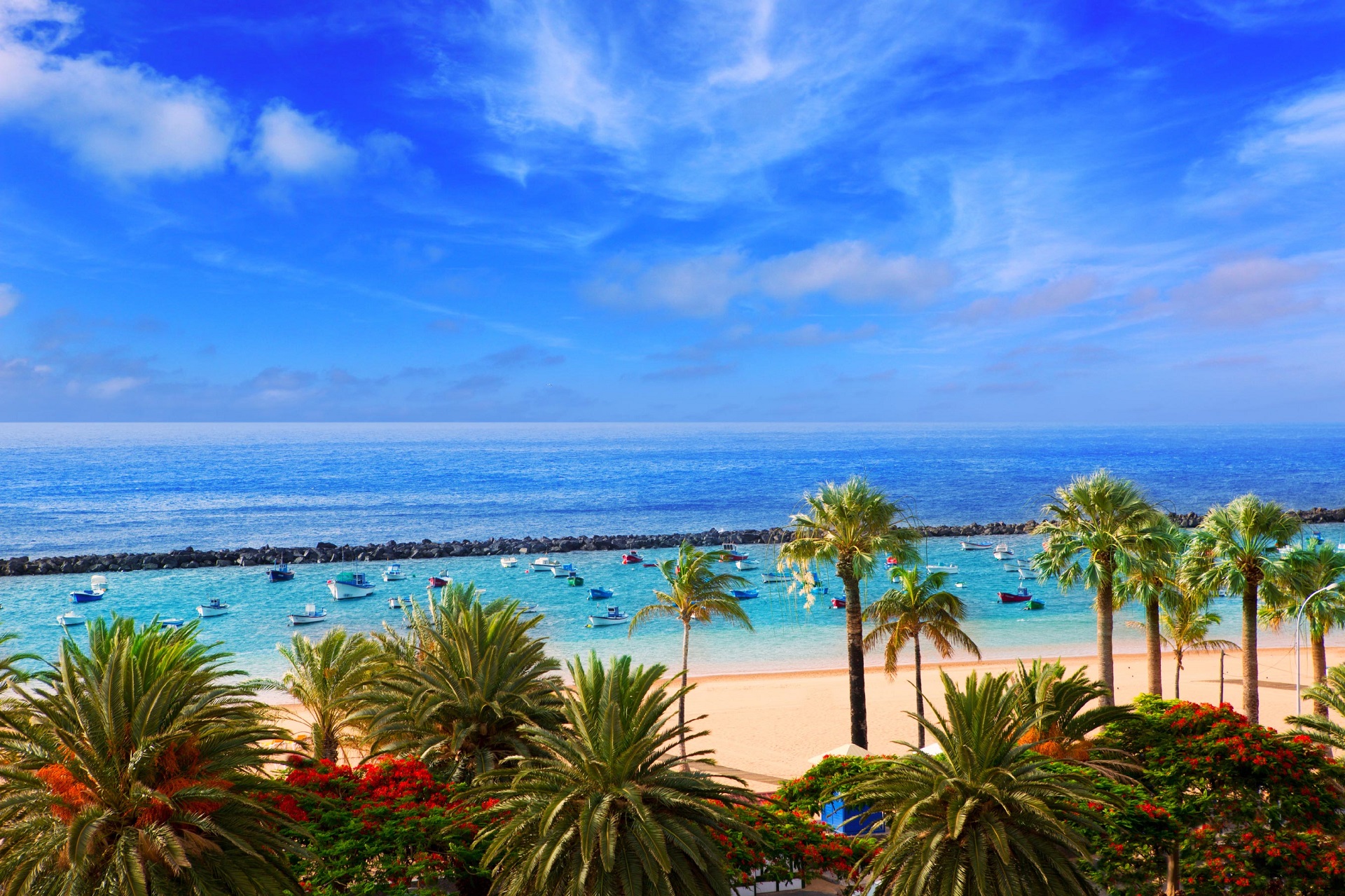 Die besten Teneriffa Tipps Urlaubsguru.de