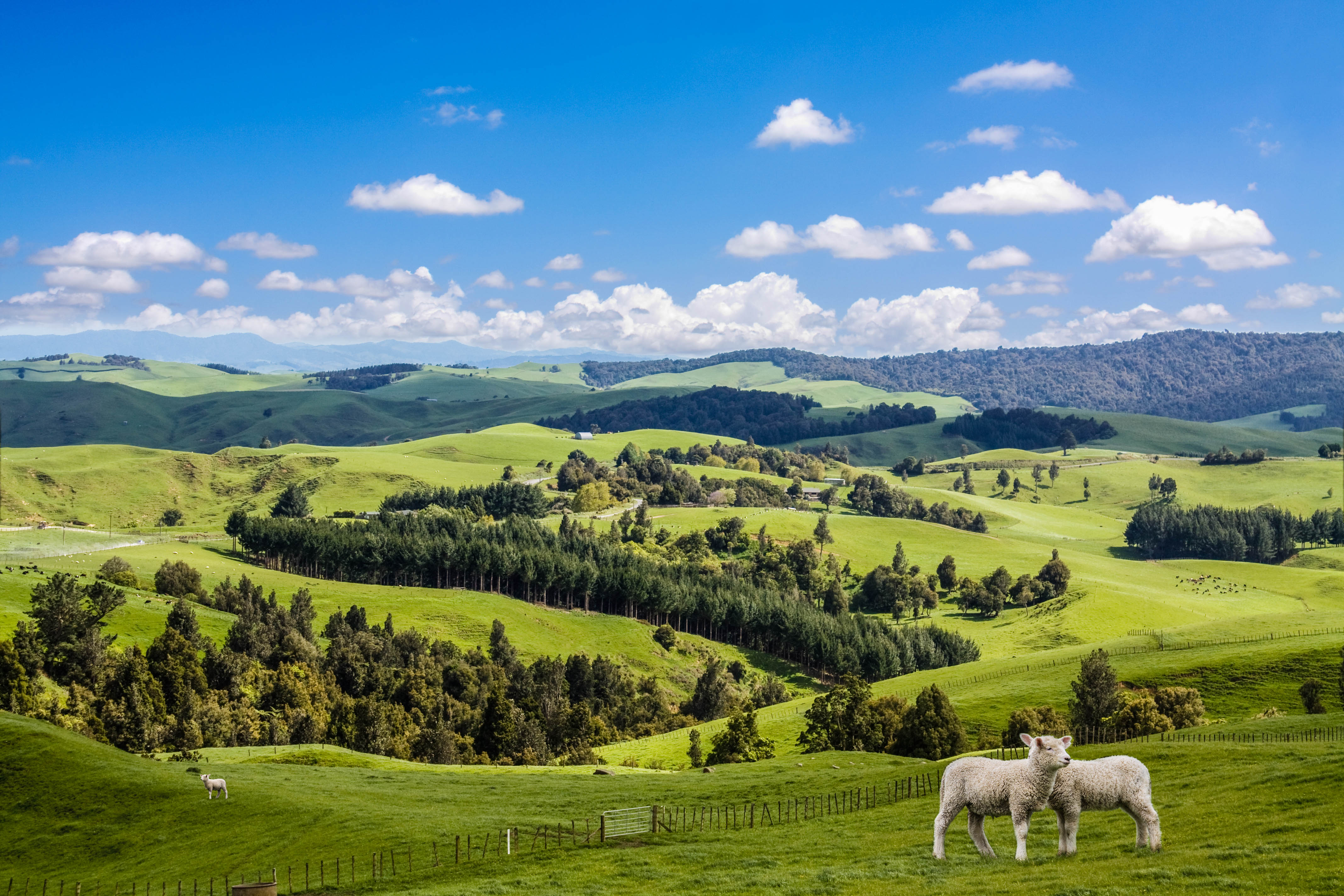 Palmerston New Zealand Hotels Palmerston New Zealand Hotels
