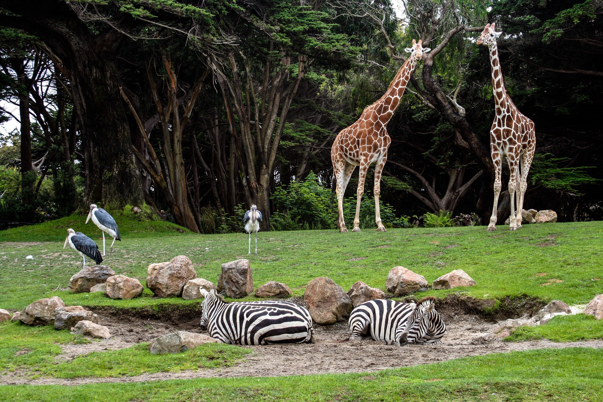 Zoos in Deutschland Die 12 beliebtesten Zoos & Tierparks