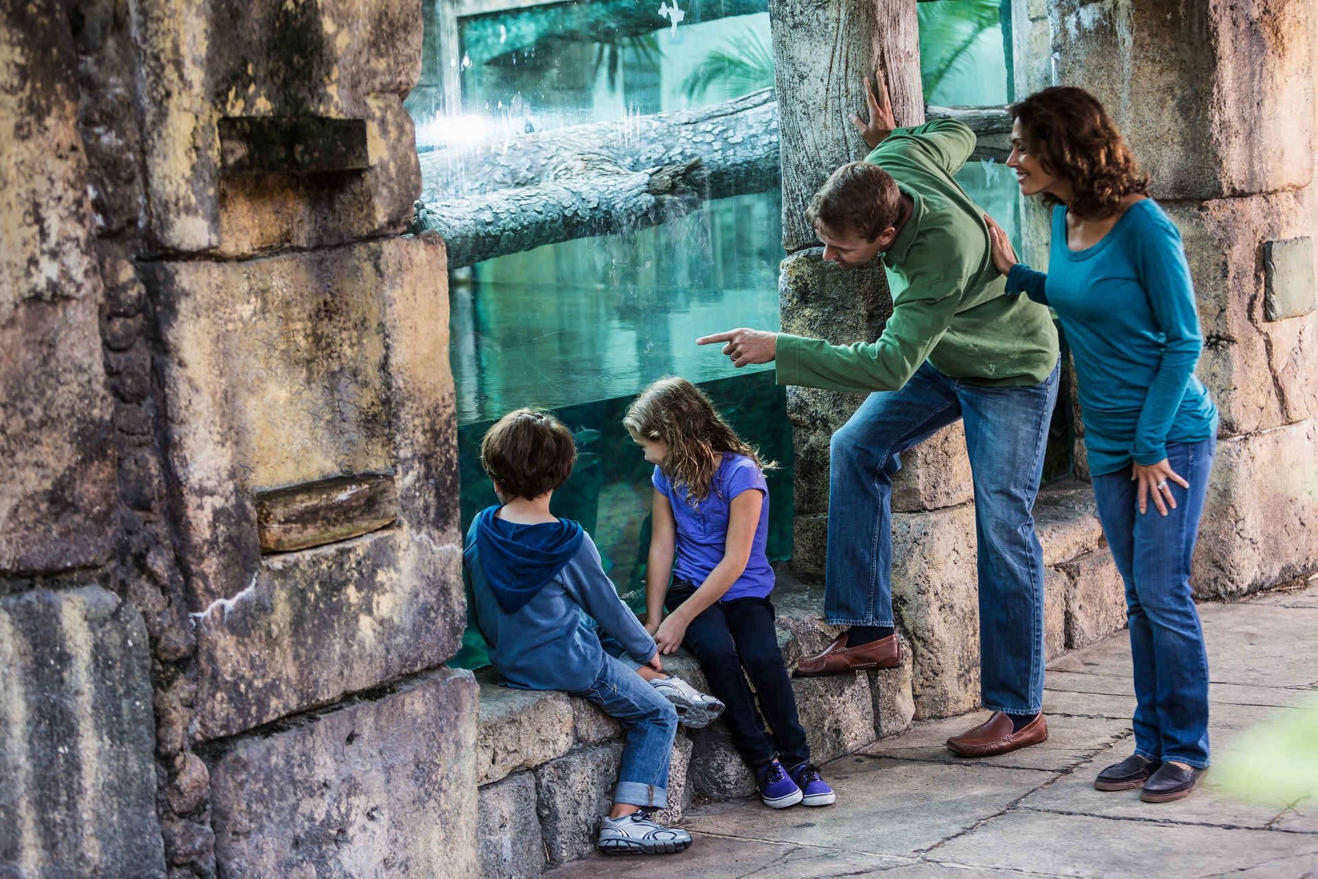 Zoos in Deutschland: Die 12 beliebtesten Zoos & Tierparks