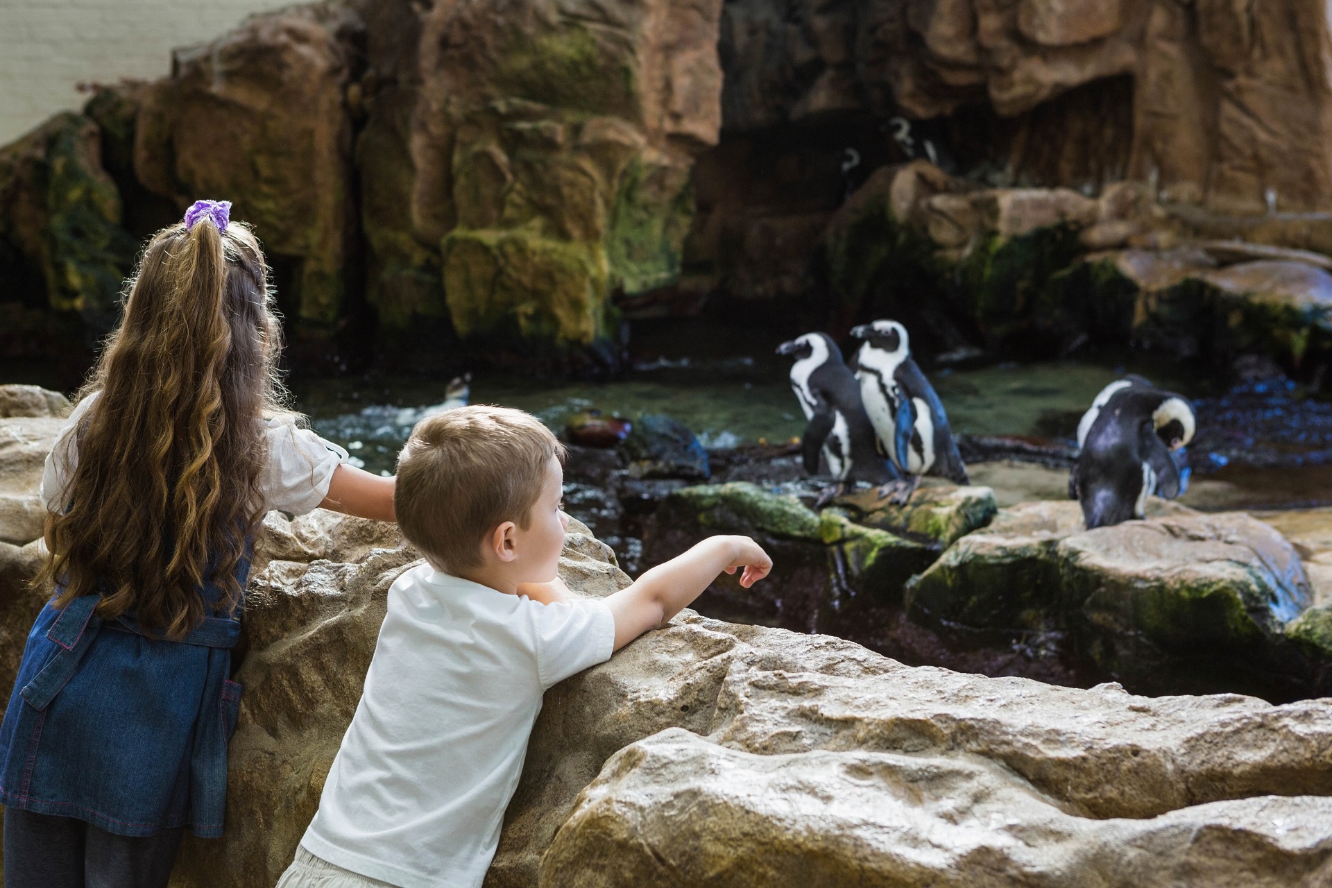 Zoos in Deutschland: Die 12 beliebtesten Zoos & Tierparks