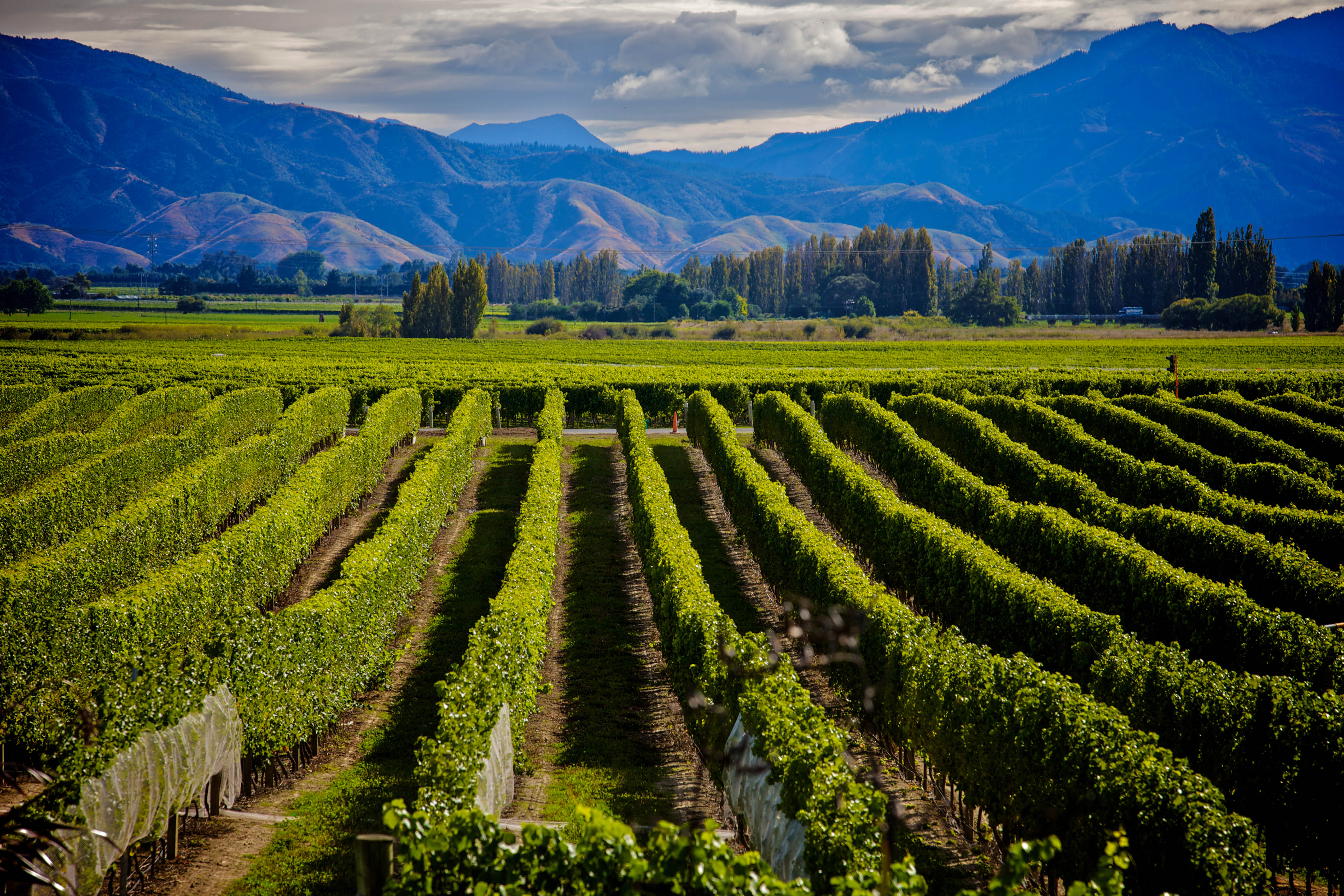 Insidertipps für die Südinsel von Neuseeland Urlaubsguru.de