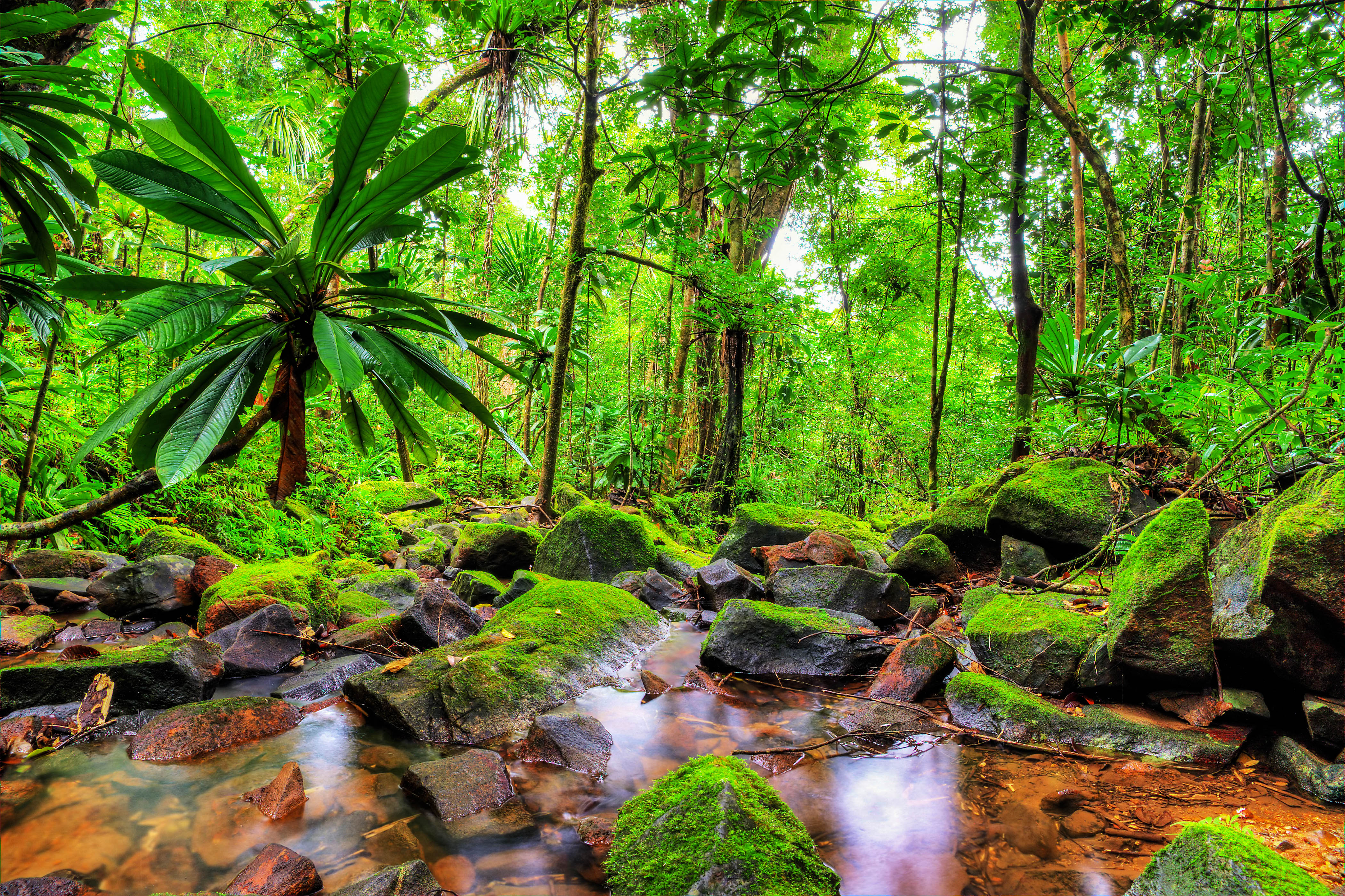 HD WALLPAPER :: fonds decran