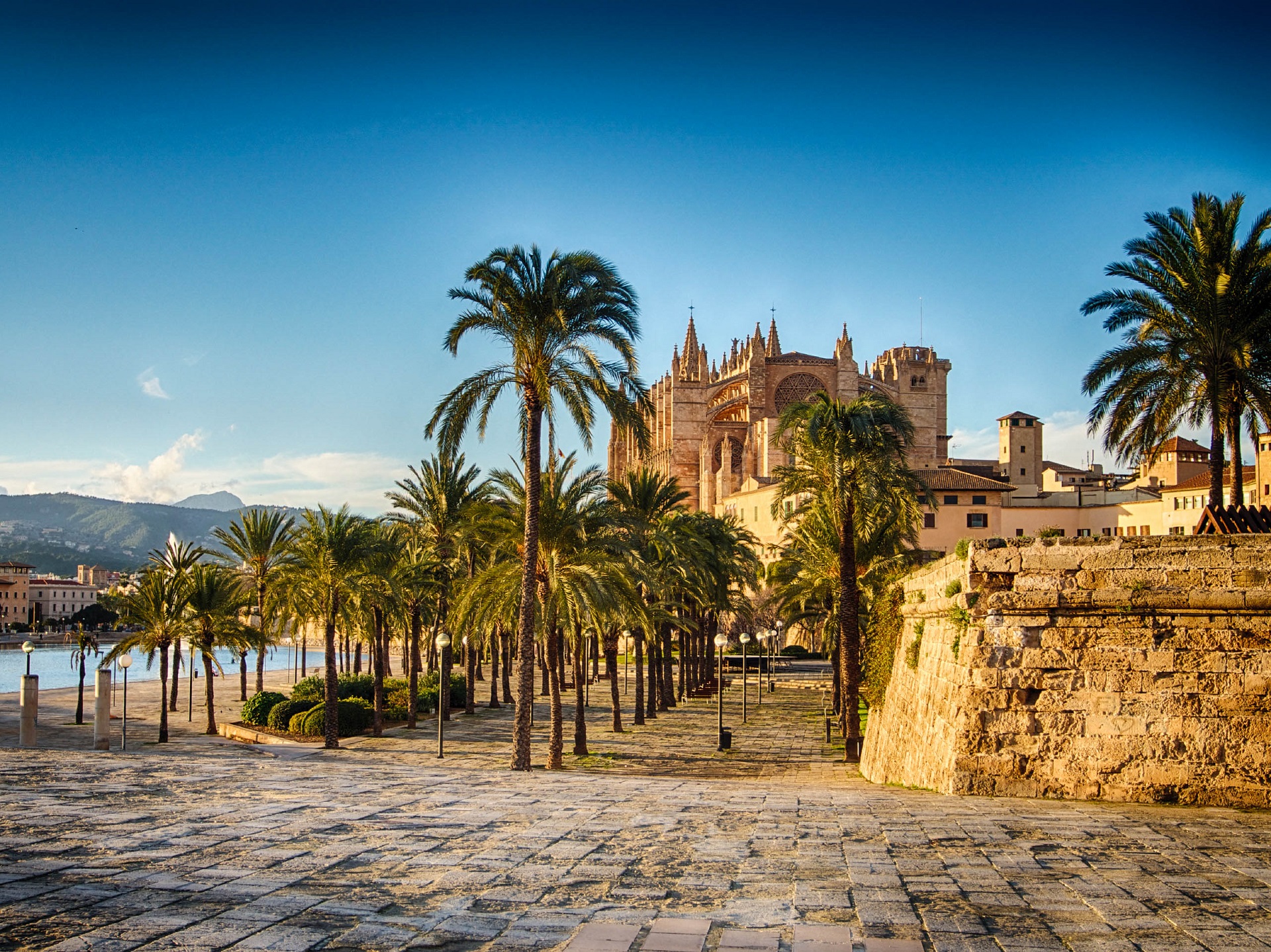 El Arenal: Tipps für einen Mallorcaurlaub im Kultort
