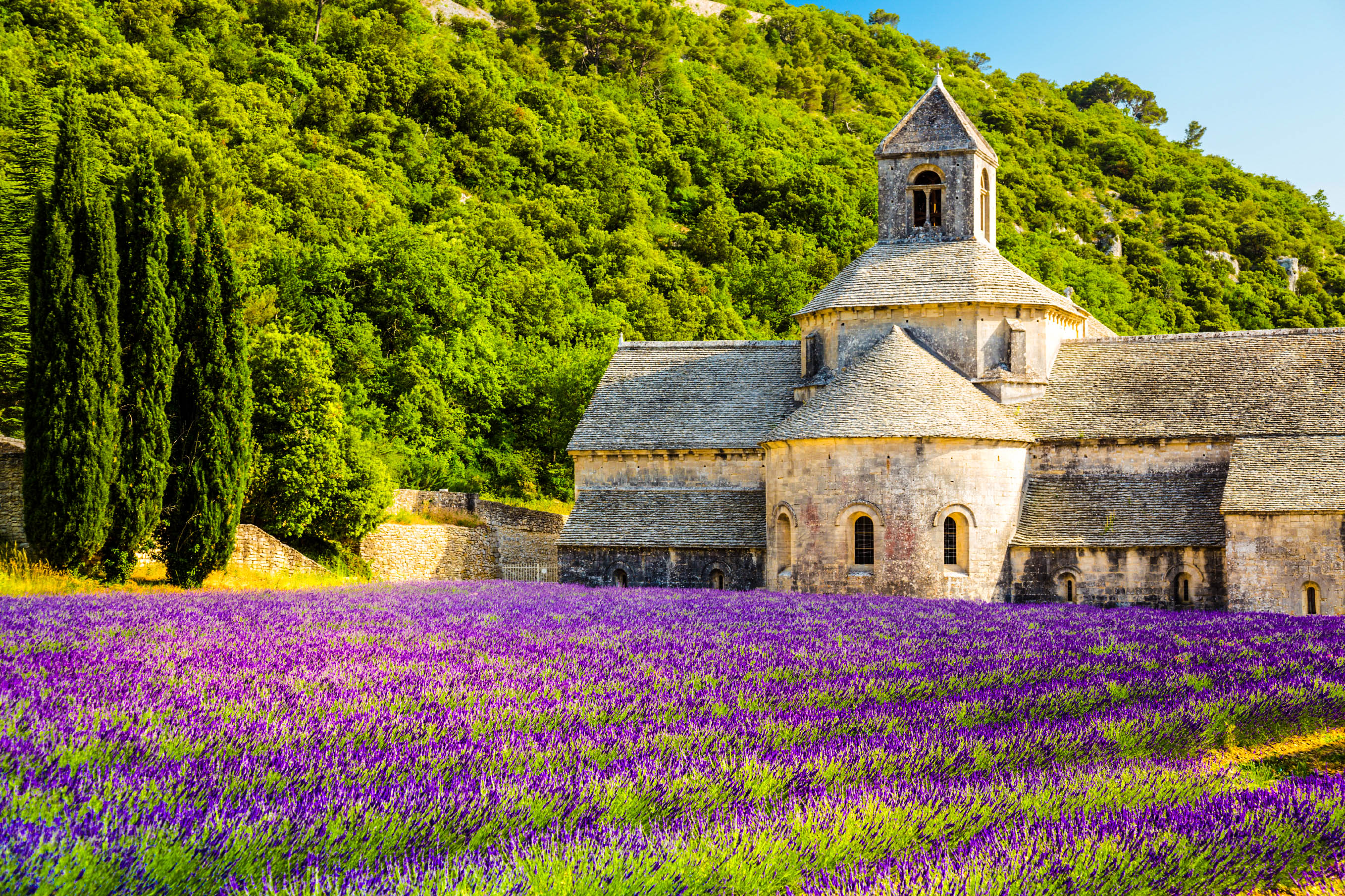 Duftende Lavendelfelder in der Provence | Urlaubsguru.de