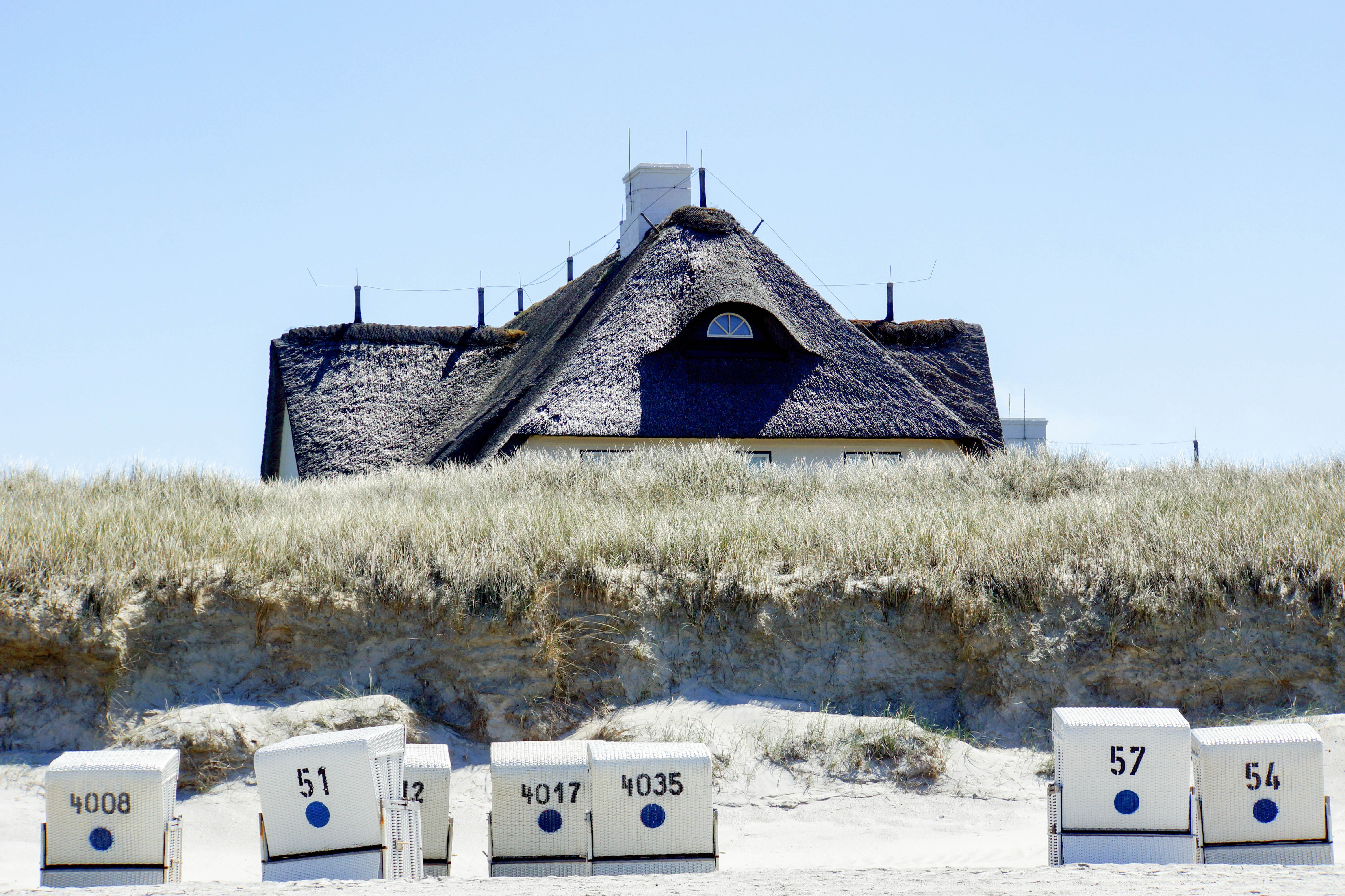 Das sind die schönsten Hundestrände an der Nordsee