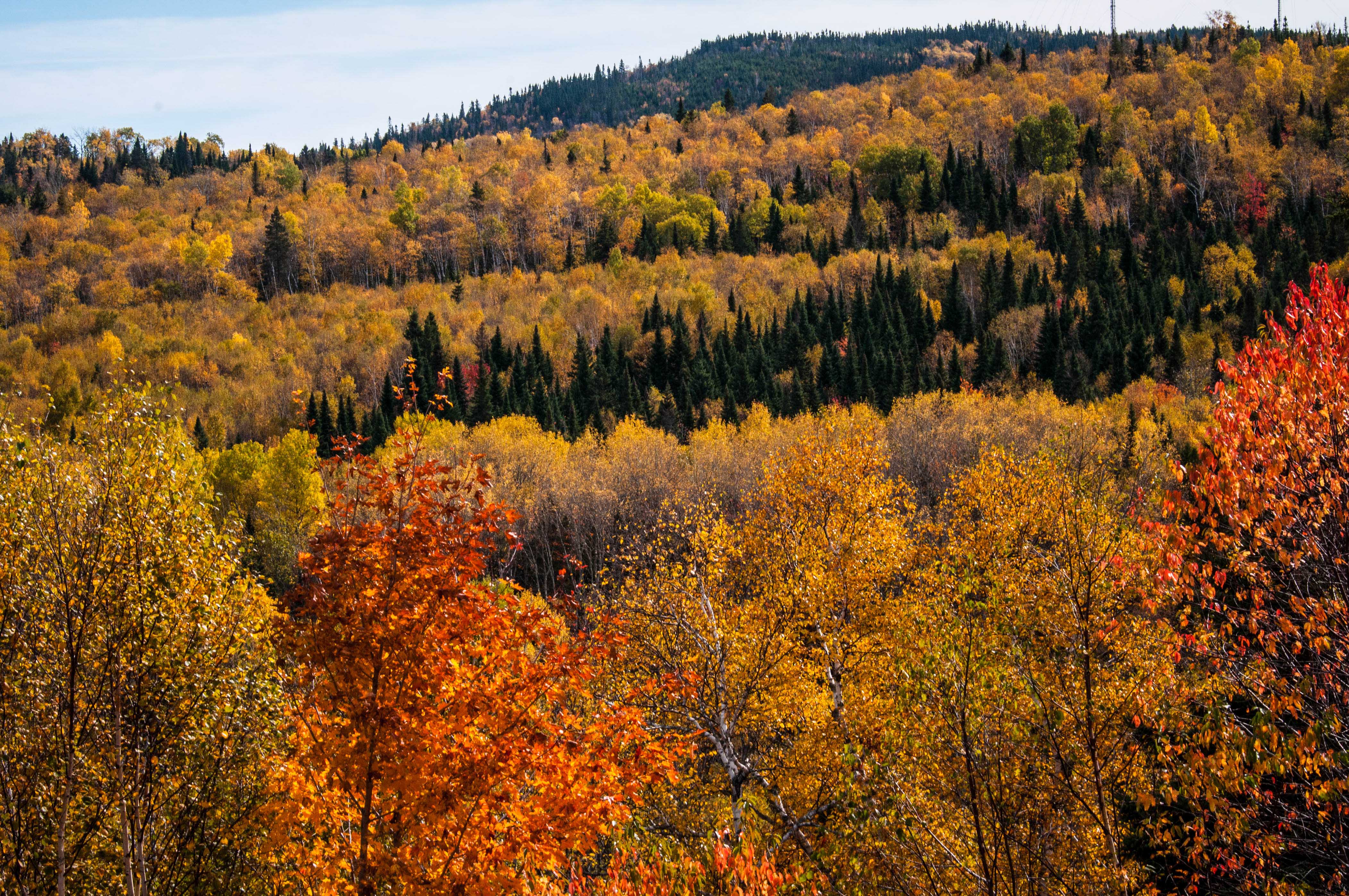 Entdeckt den Indian Summer in Kanada | Urlaubsguru.de