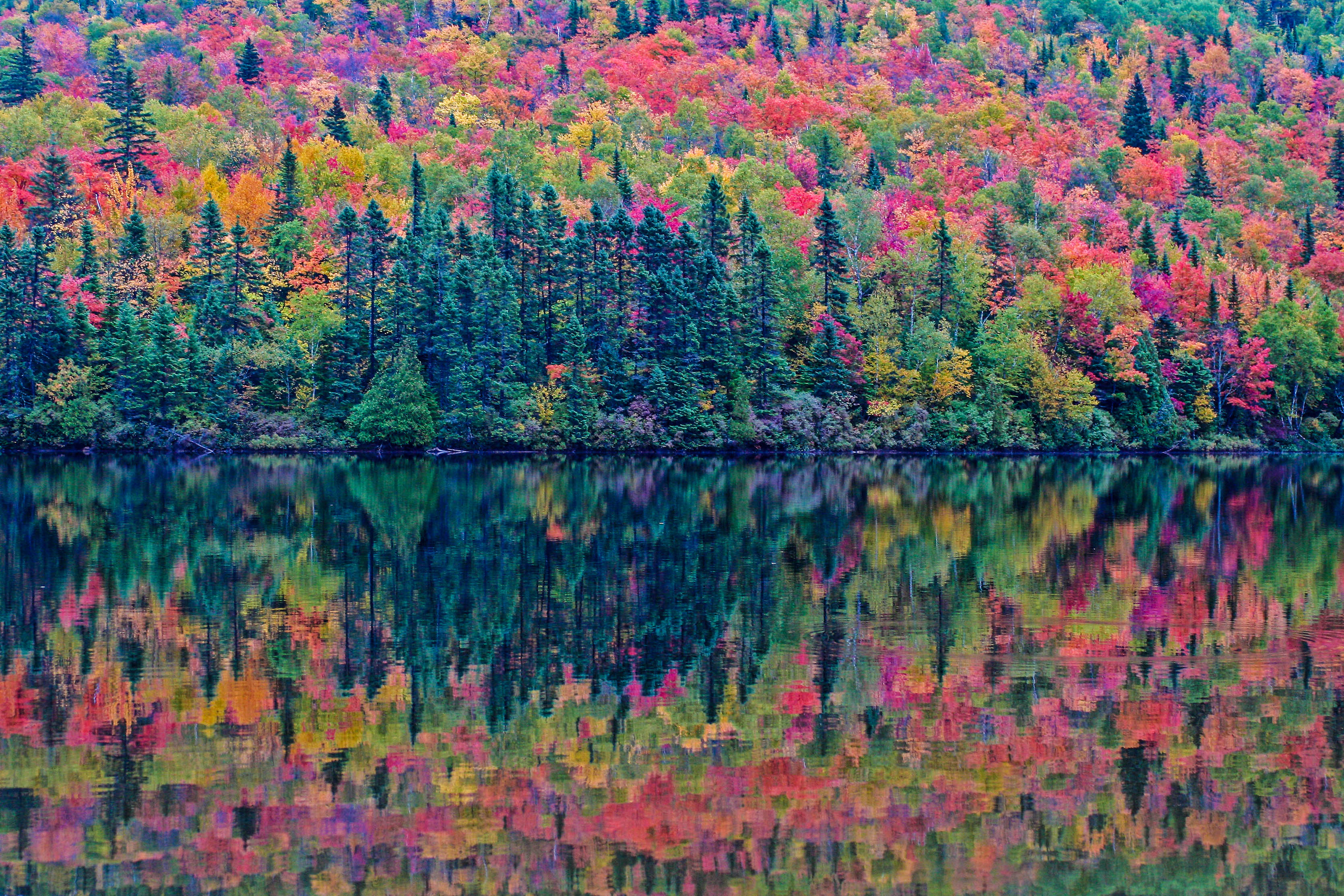 Entdeckt den Indian Summer in Kanada | Urlaubsguru.de