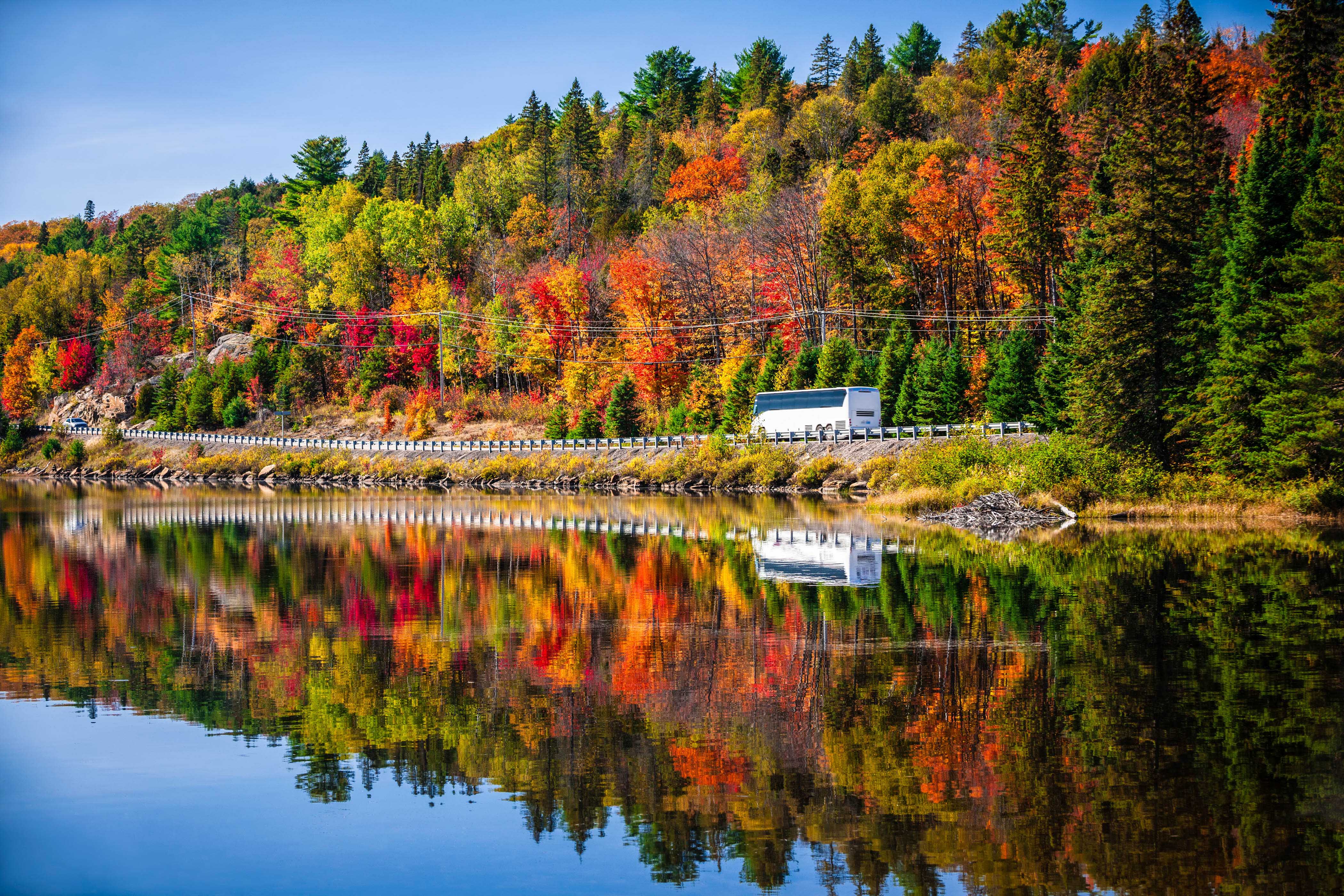 Indian Summer in Kanada, Algonquin Park, Ontario