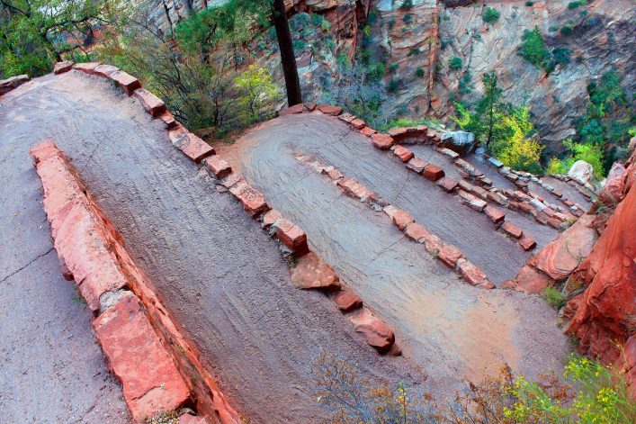Walters Wiggles Zion National Park