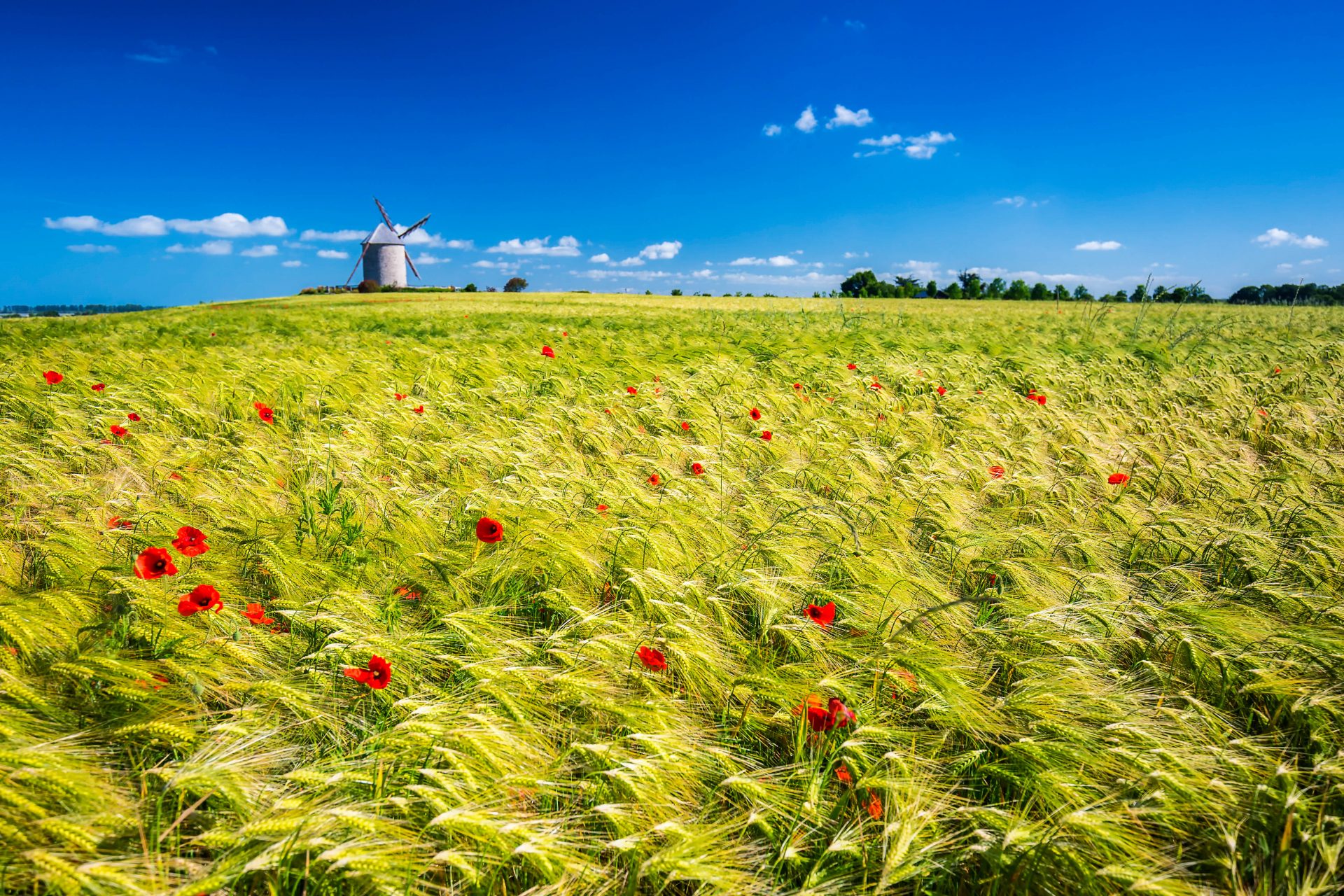 Die Normandie stellt sich vor Urlaubsguru.de