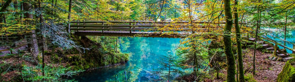 blausee schweiz in der winter blausee schweiz in der winter