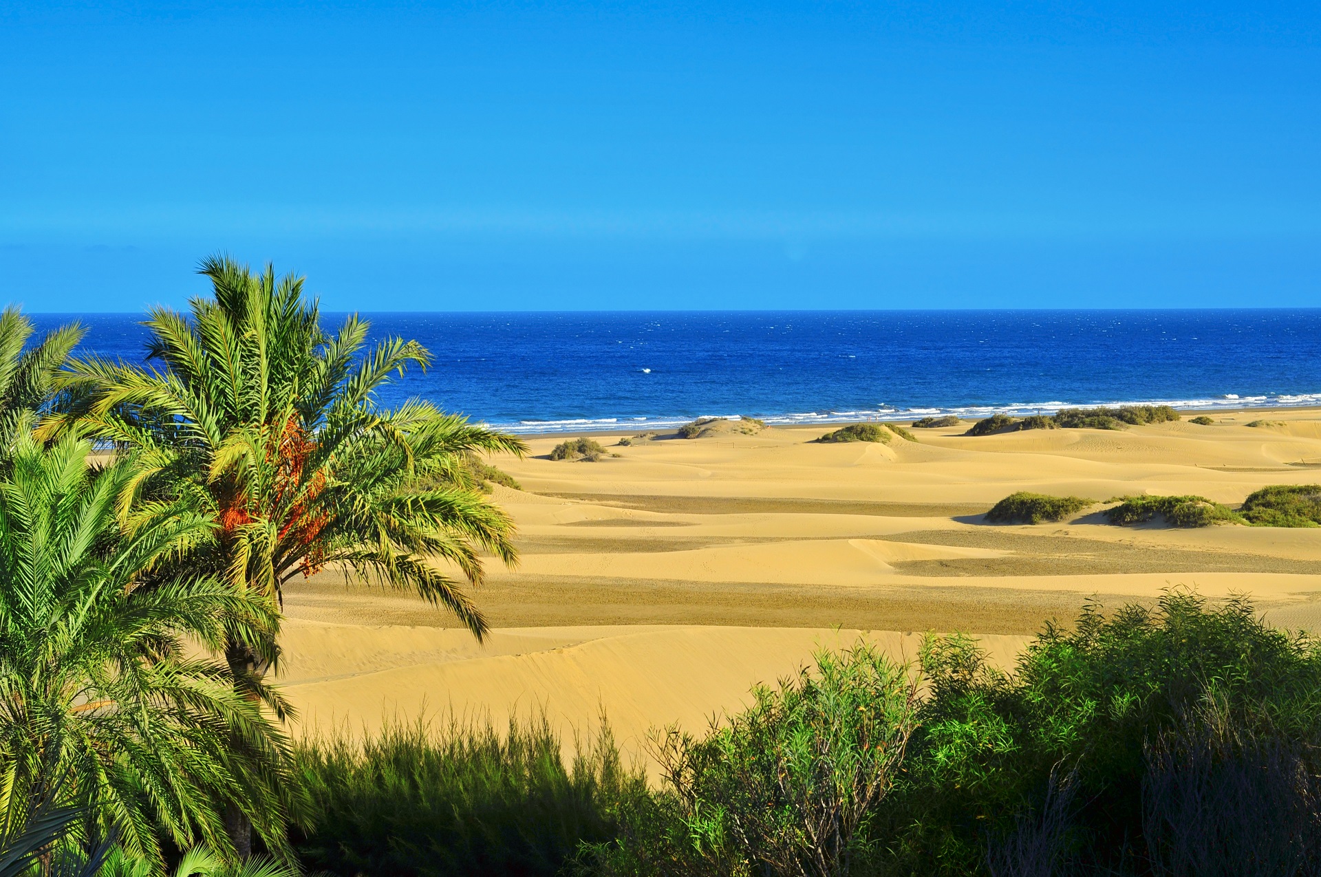 Bekanntschaften auf gran canaria