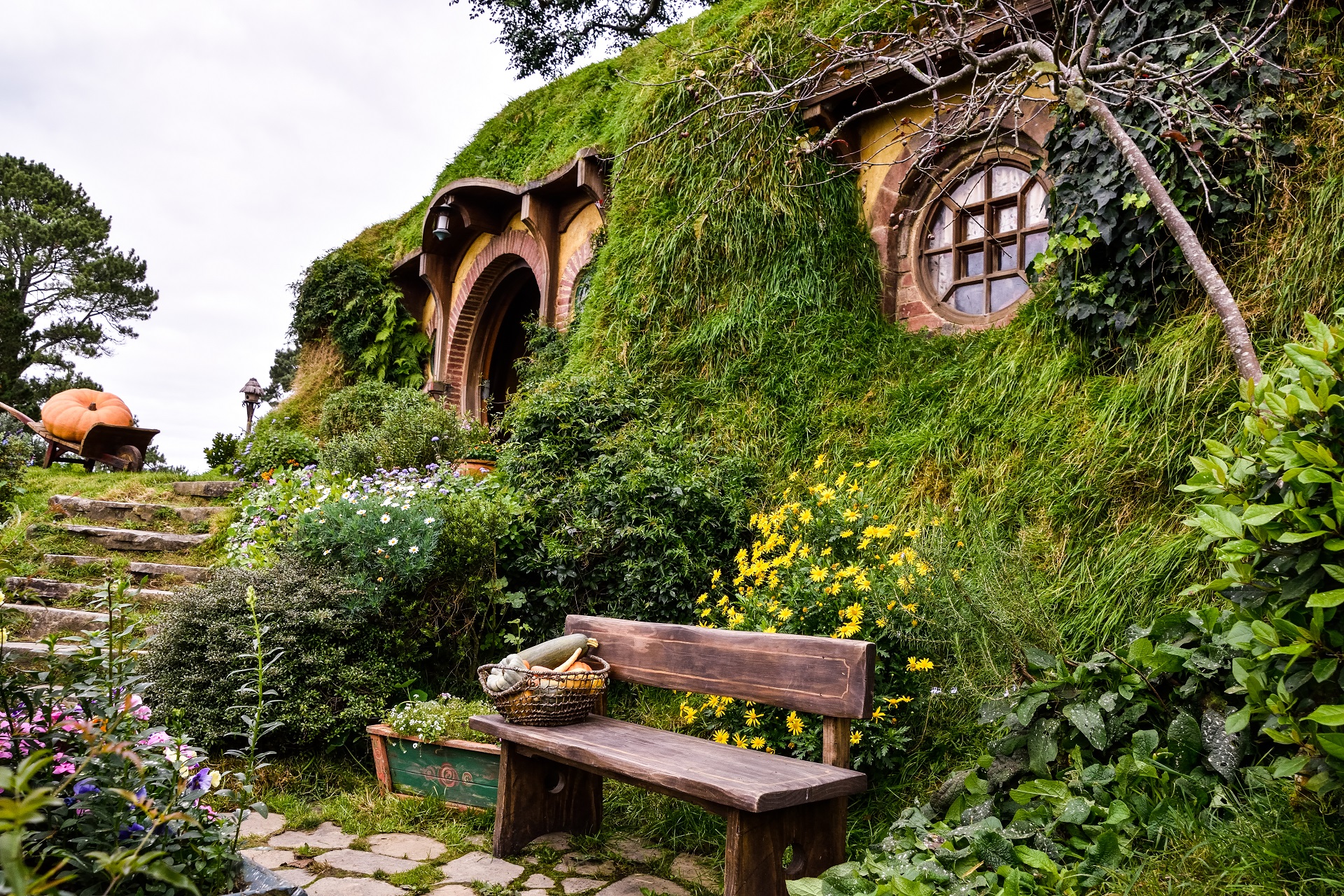 Hobbiton in Neuseeland - Auenland hautnah | Urlaubsguru.de