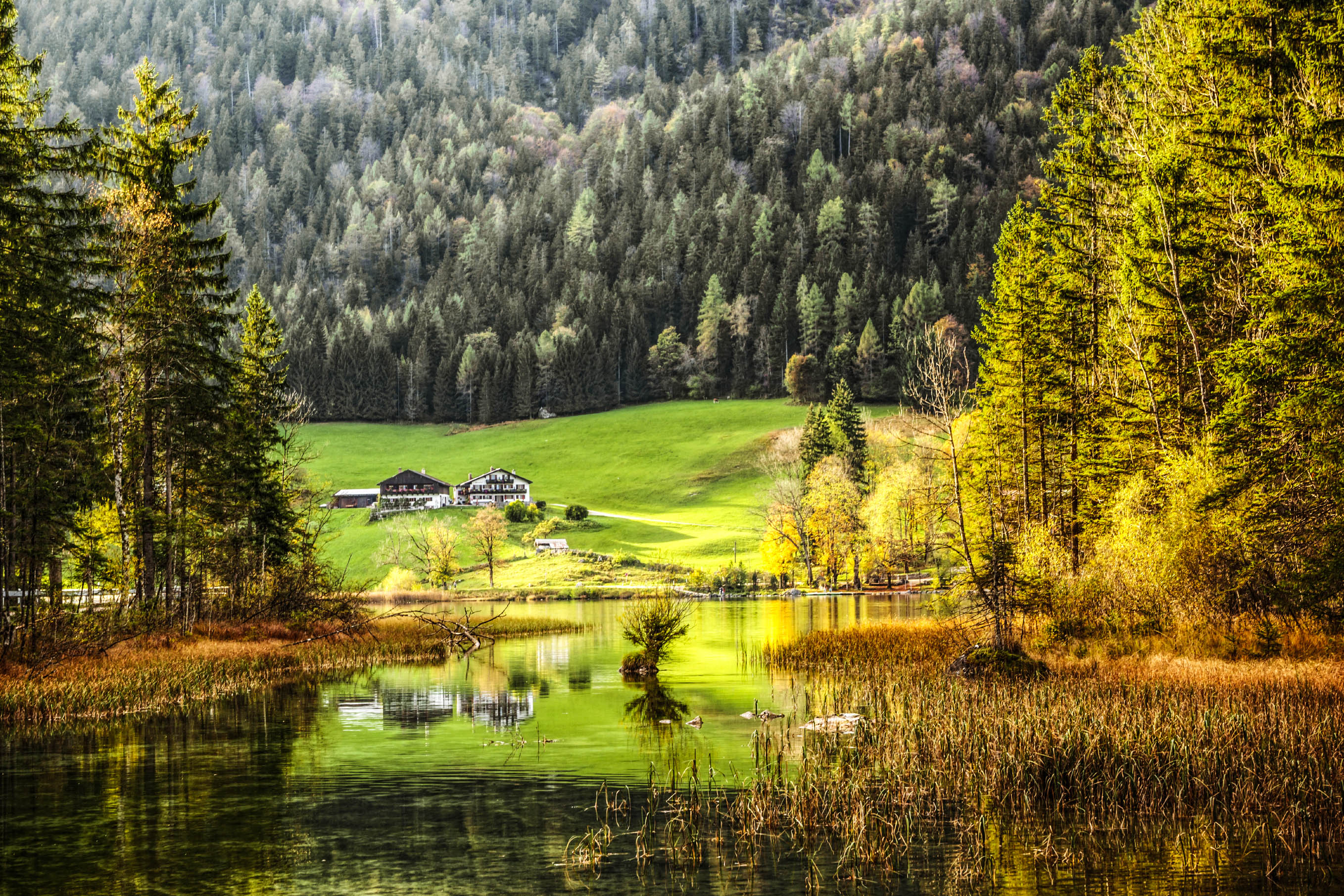 Die Besten Cafés Im Bayerischen Wald Urlaub im Bayerischen Wald - Einfach herrlich! | Urlaubsguru.de