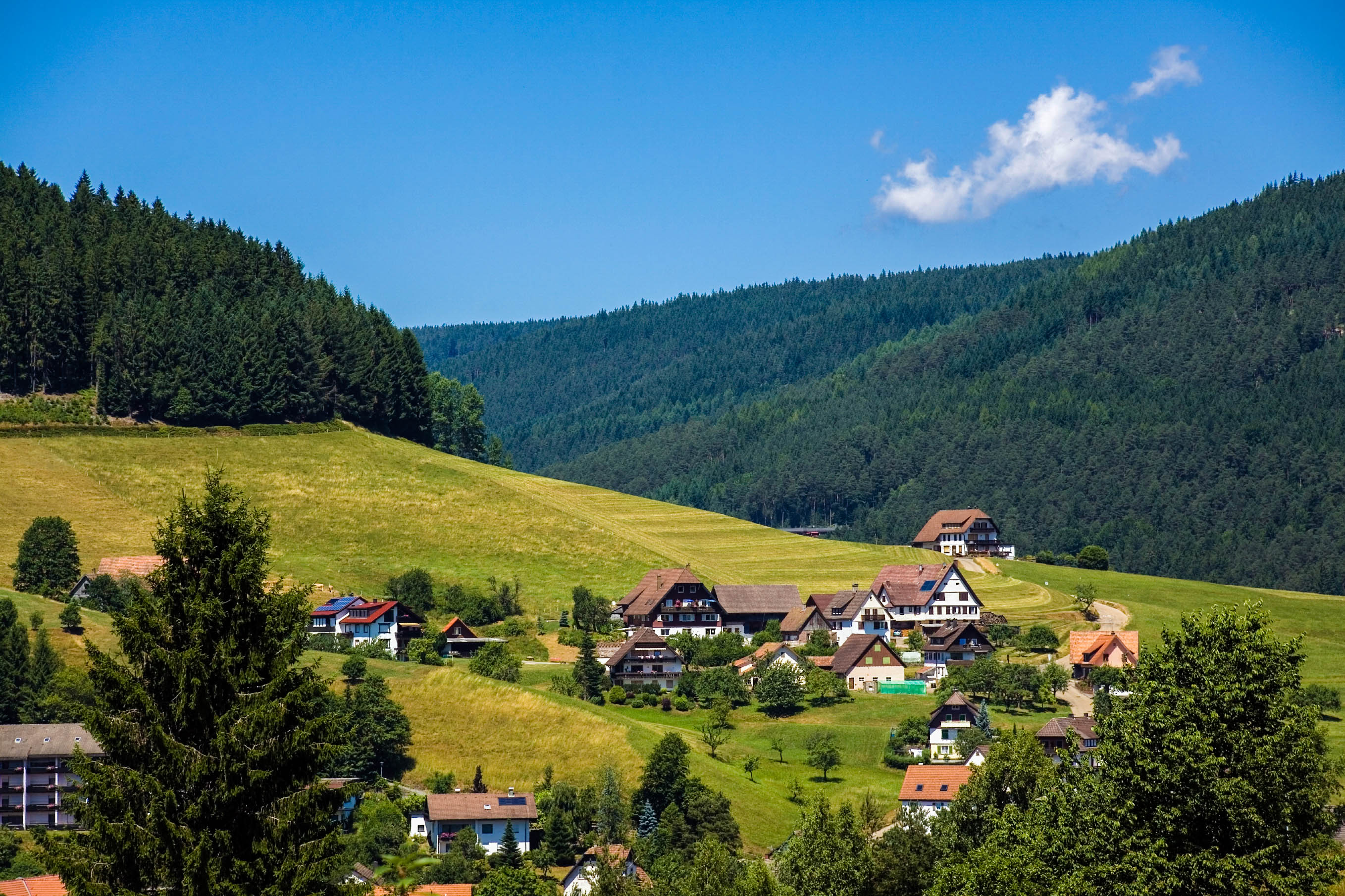 Sterne Hotels Im Schwarzwald Sterne Hotels Im Schwarzwald