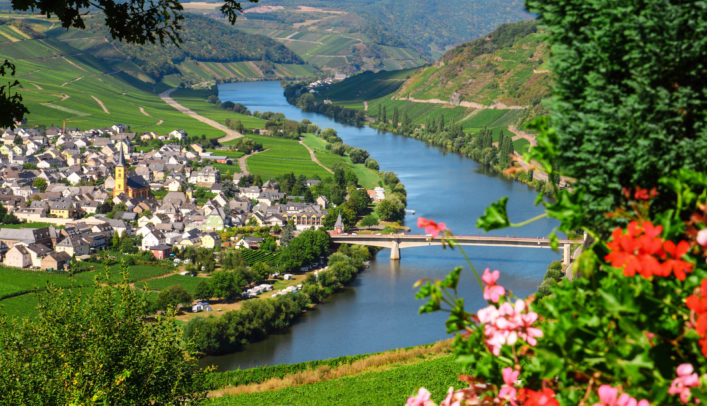 Mosel River and Valley with village in vineyard