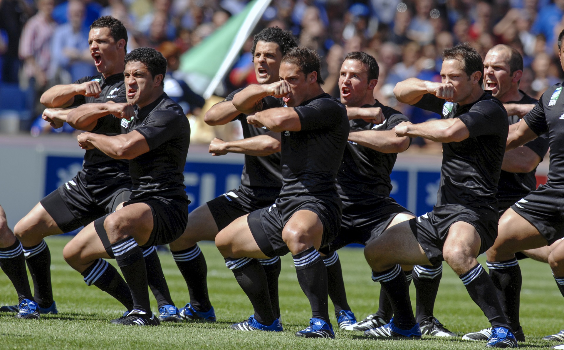 Haka Was steckt dahinter & was bedeutet der Tanz? Urlaubsguru.de