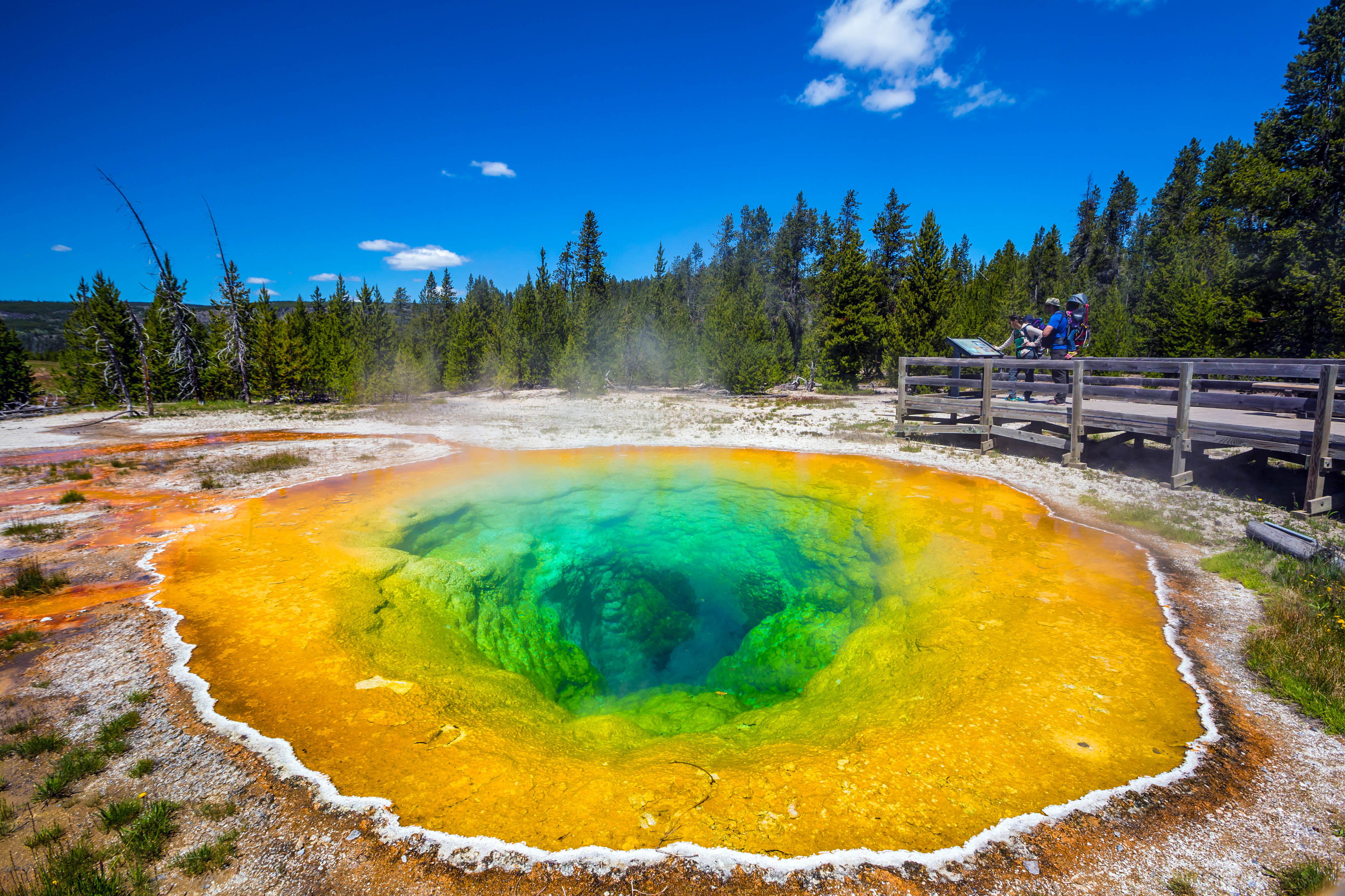 Der Faszinierende Yellowstone Nationalpark Urlaubsgurude