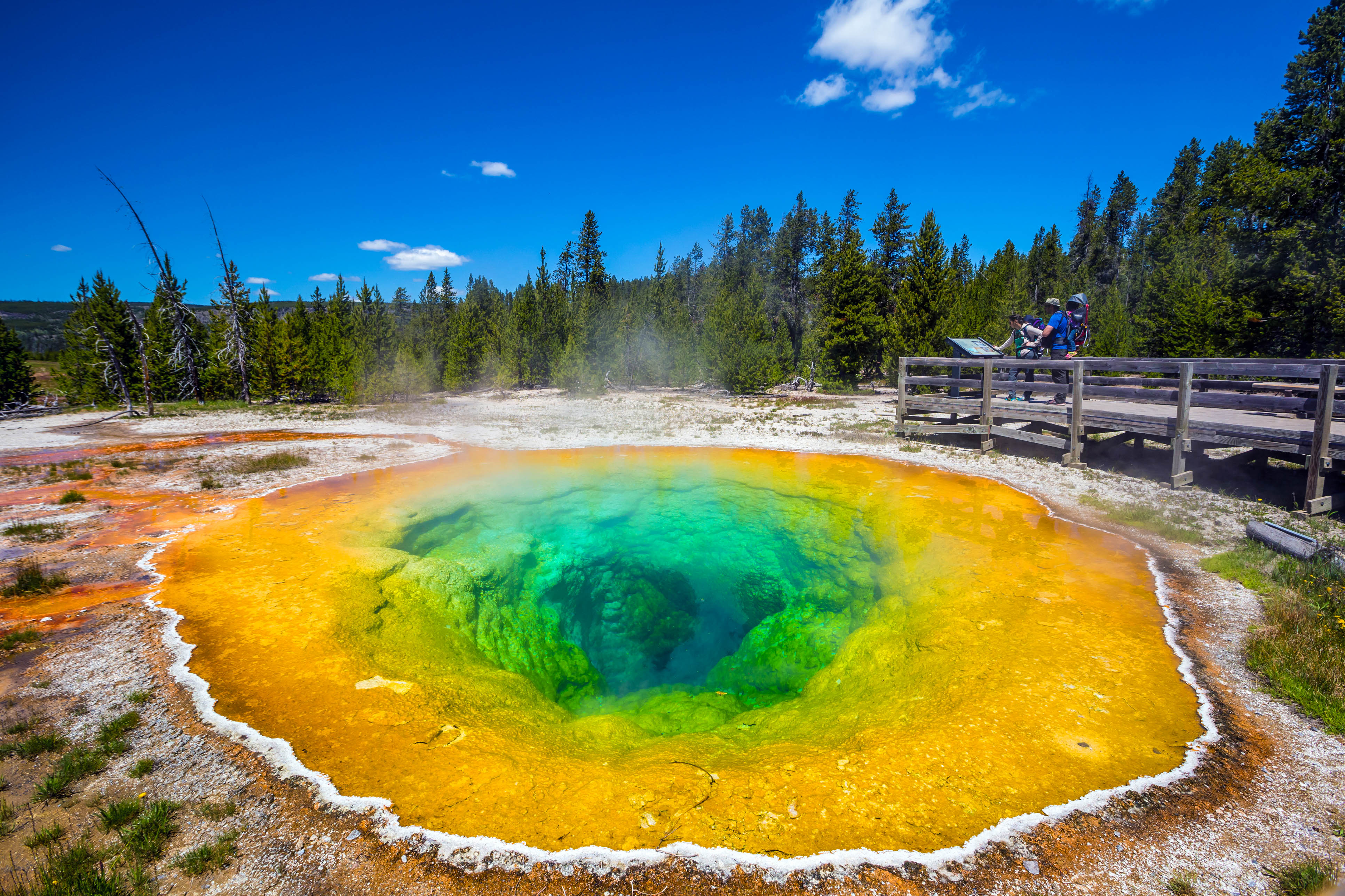 Der faszinierende Yellowstone Nationalpark Urlaubsguru.de