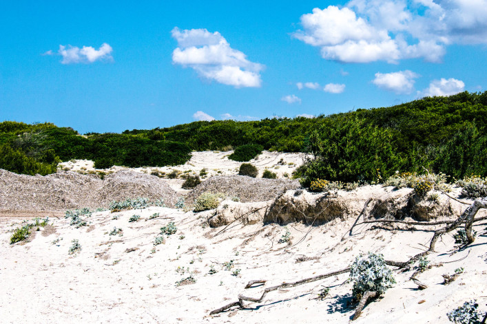 las mejores playas de mallorca es trenc