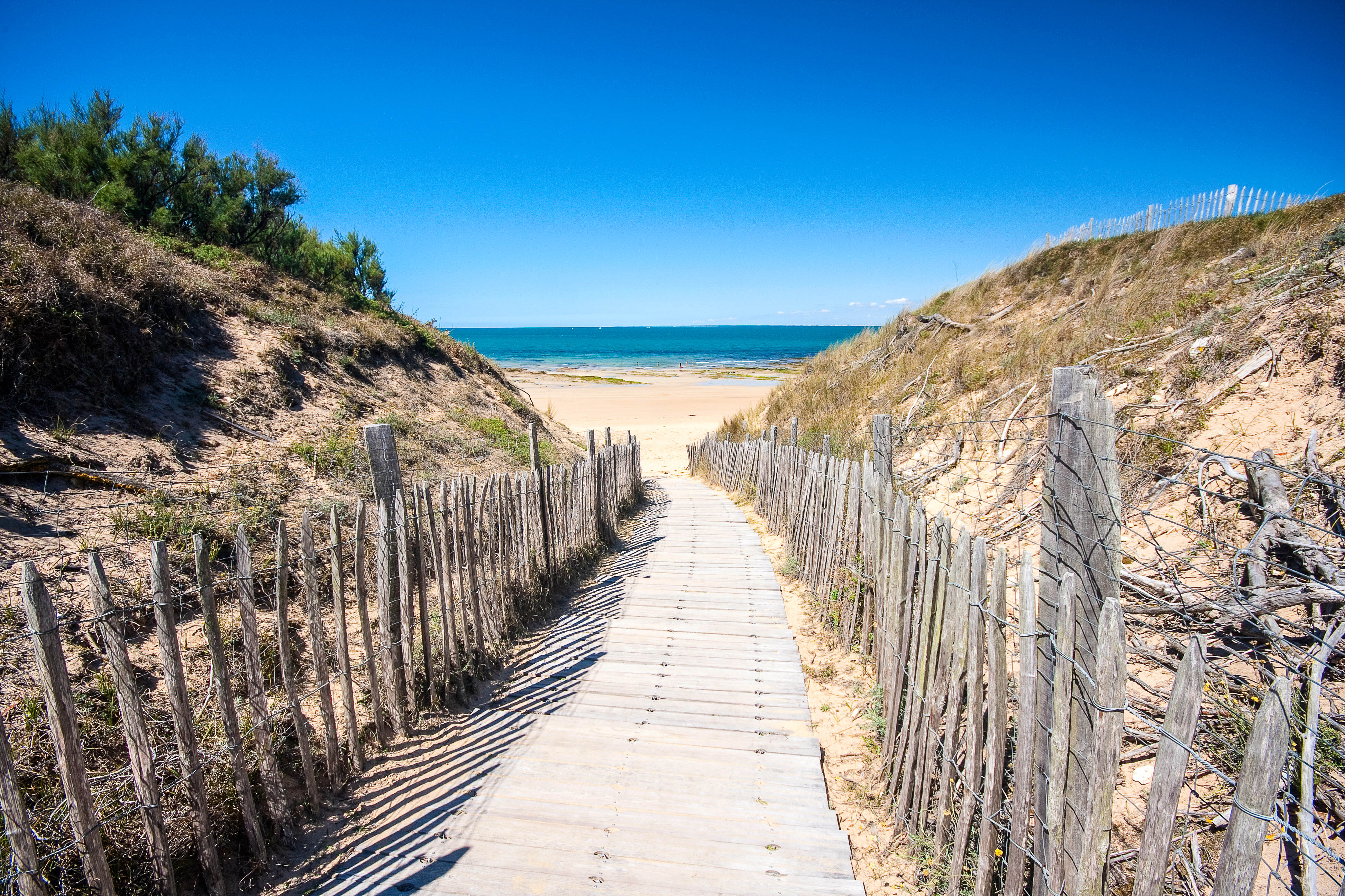 Île de Ré Frankreichs weiße Insel entzückt Urlaubsguru