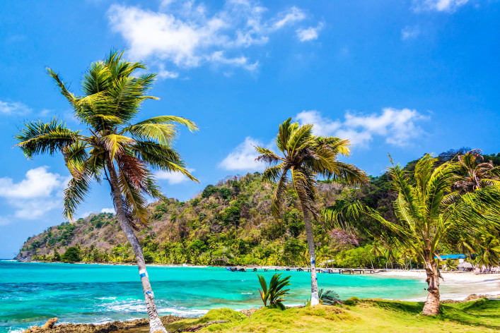 Three Palm Trees in Panama
