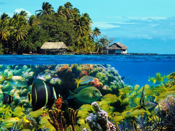 Underwater island