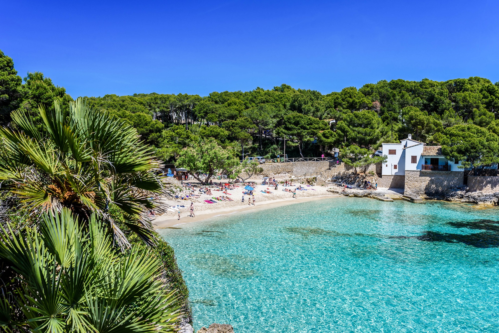 Alle Mallorca Tipps auf einen Blick | Urlaubsguru.de