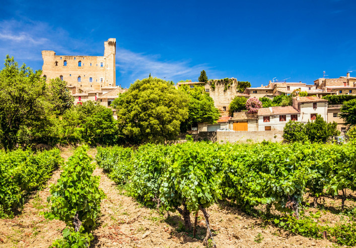 Provence-Alpes-Cote d’Azur Vineyard iStock_000021476126_Large-2