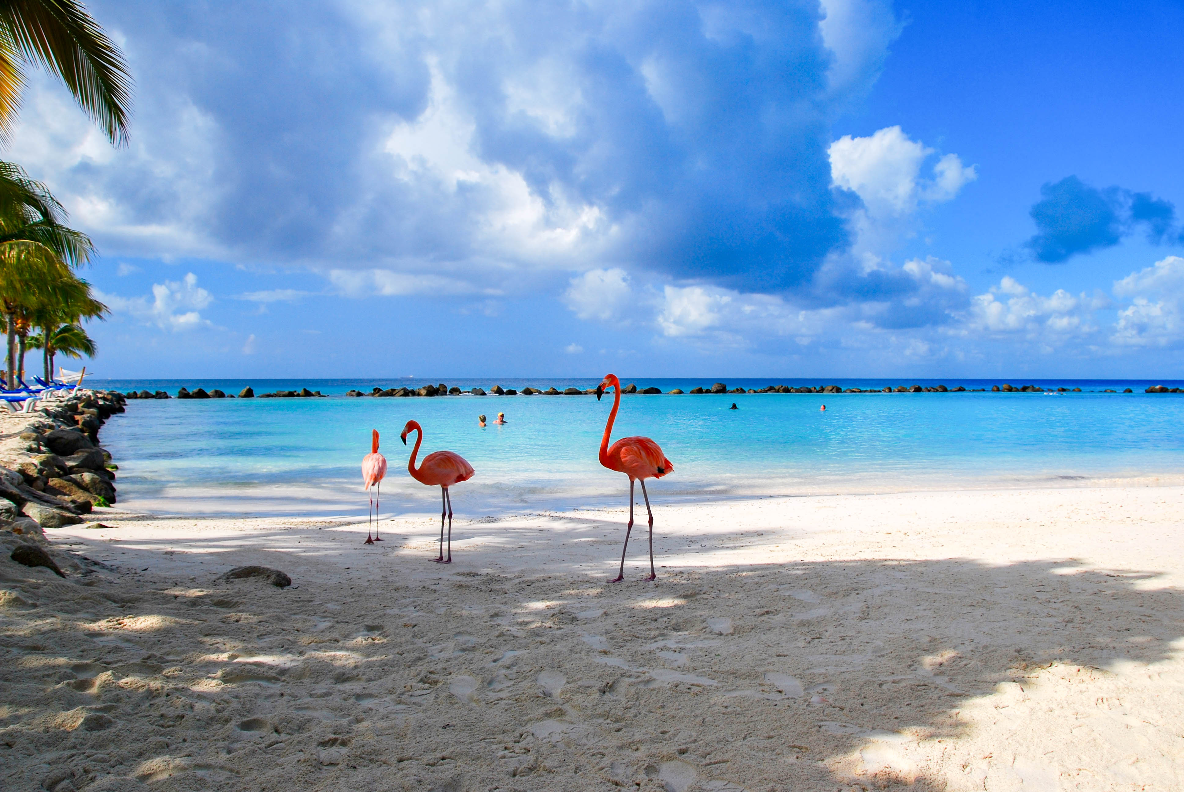 Paradise Beach Resort Aruba Paradise Beach Resort Aruba