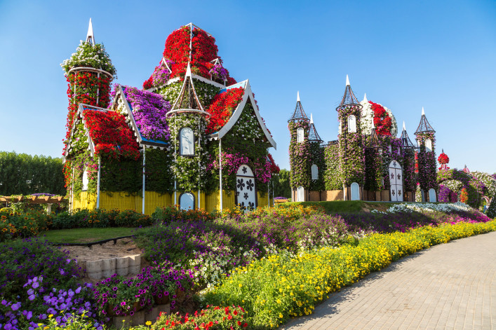 Miracle Garden in Dubai