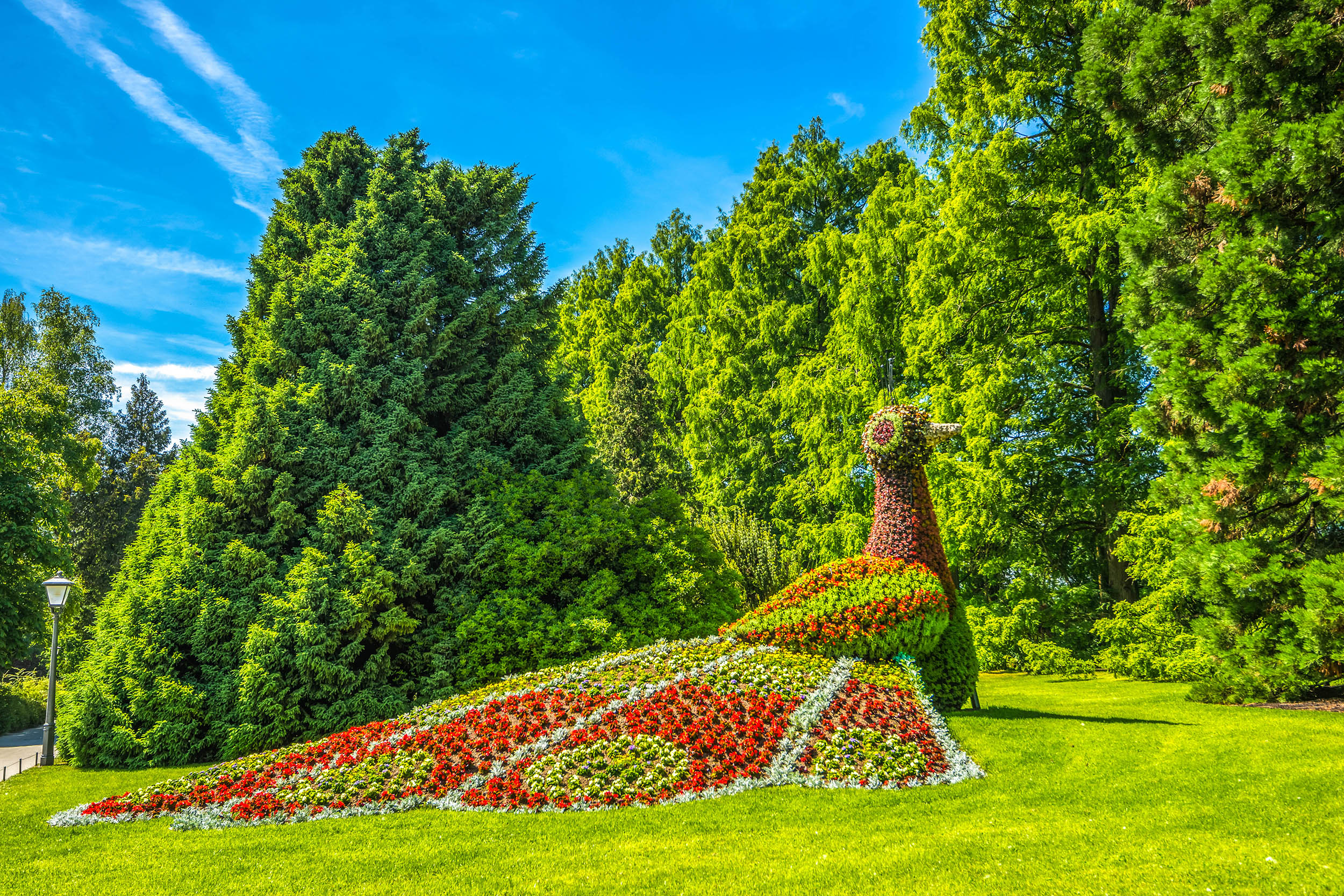 Die Blumeninsel Mainau am Bodensee Urlaubsguru