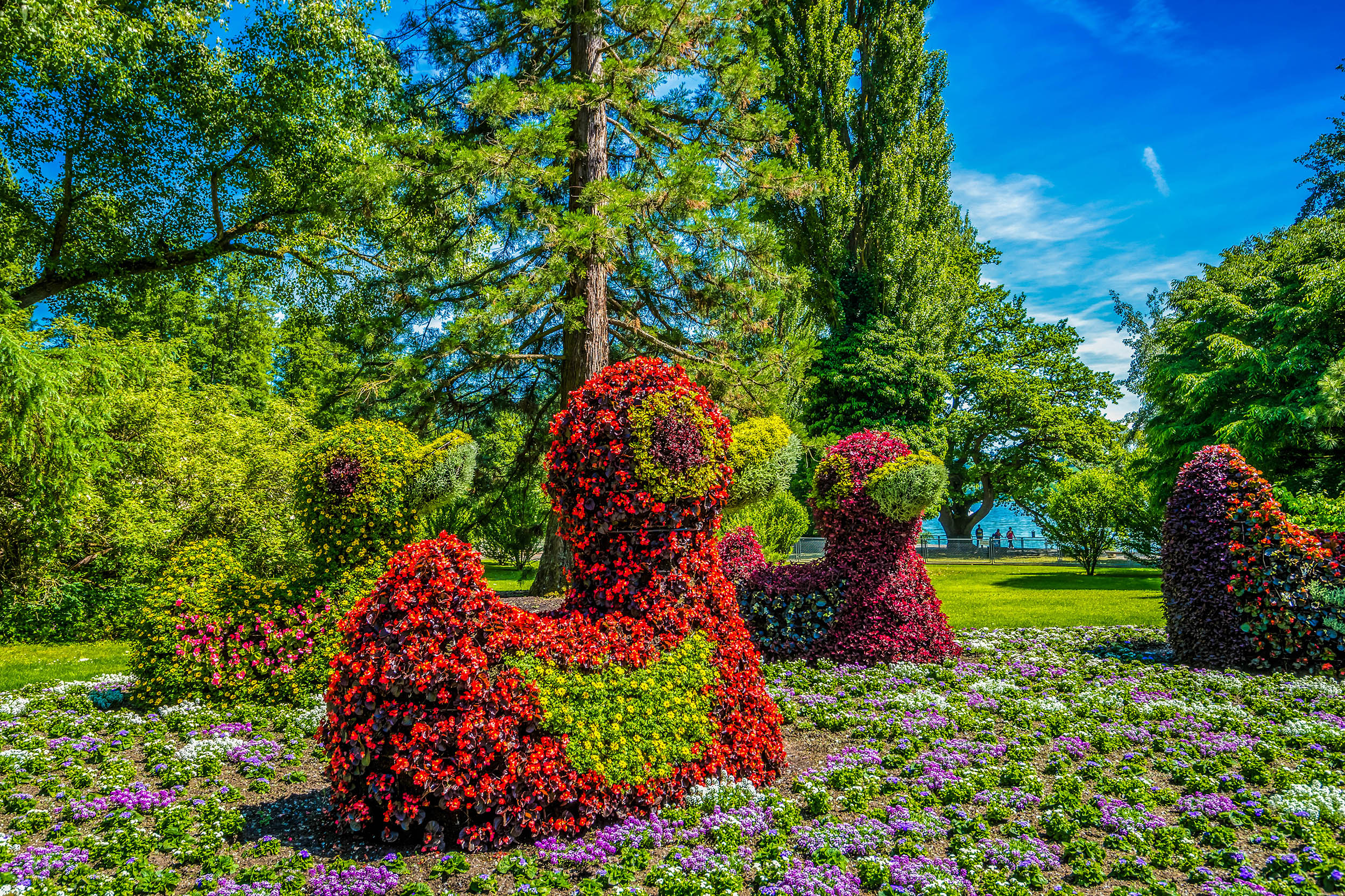 Die Blumeninsel Mainau am Bodensee Urlaubsguru