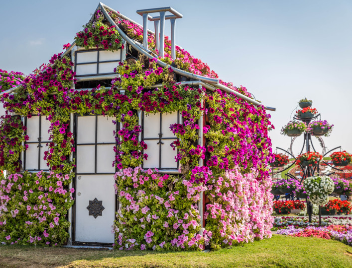 Miracle Garden in Dubai