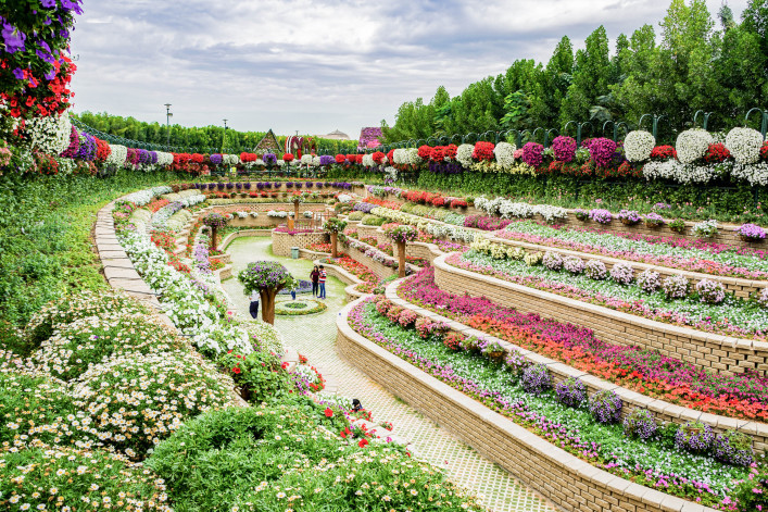 Miracle Garden in Dubai