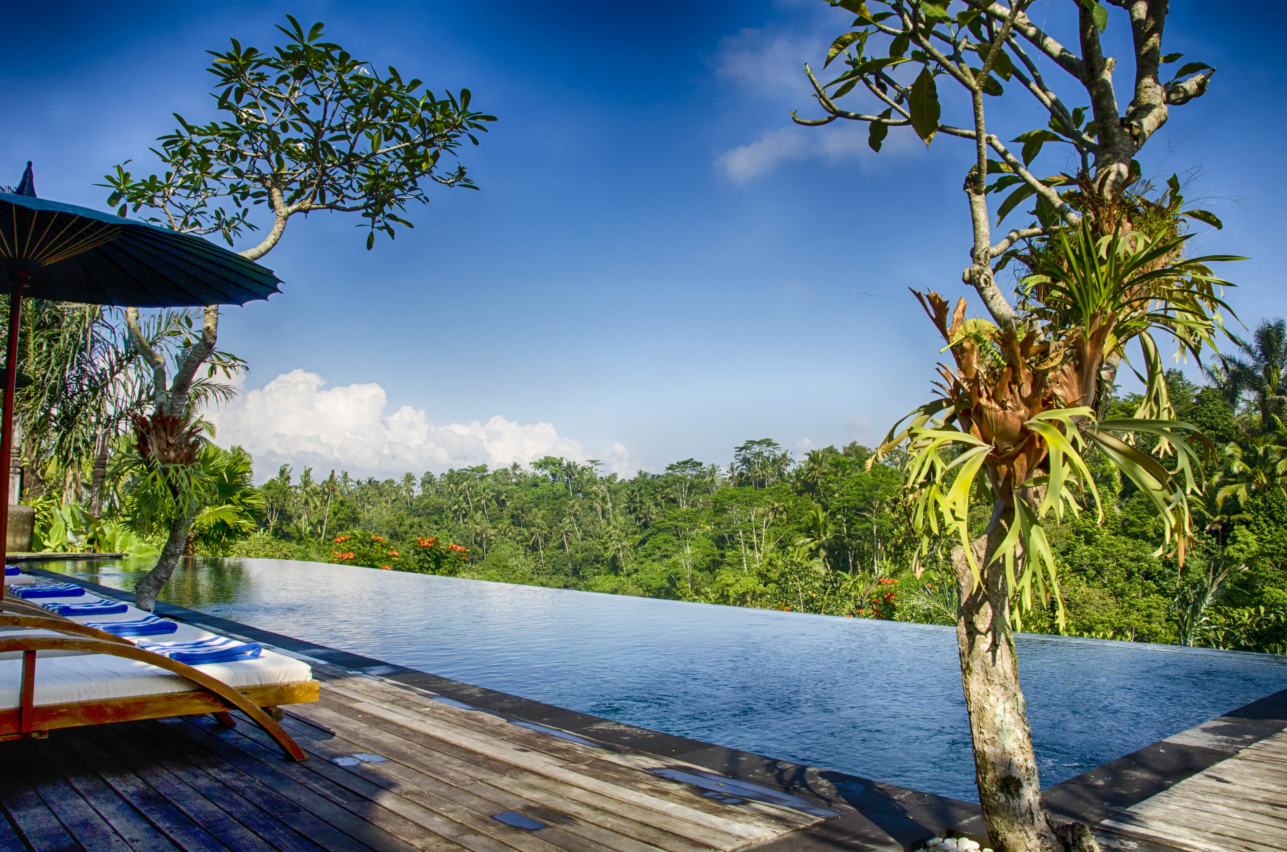 Die sch nsten Infinity  Pools auf Bali  Urlaubsguru de