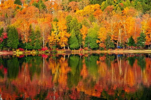 Indian Summer Kanada Nationalpark 