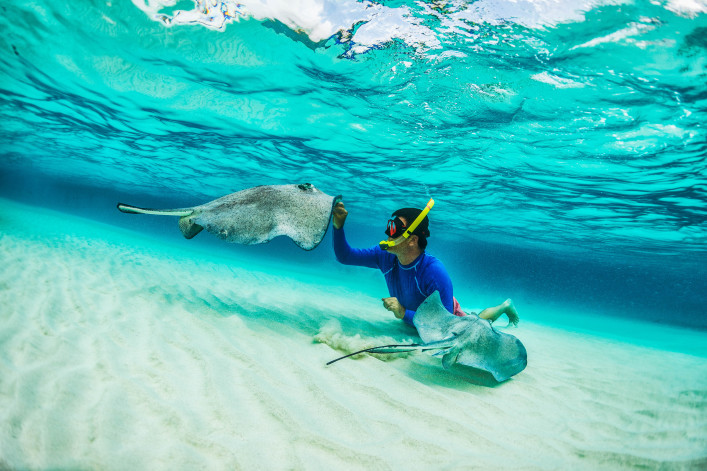 Antigua Tauchen Stingray City