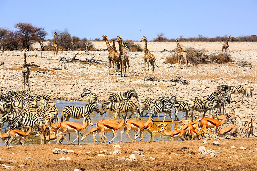 Beste Reisezeit Namibia