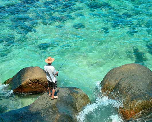 Vissen op de Seychellen