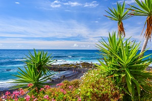 Reiseziele November_Badeurlaub_Teneriffa