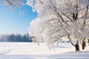 Reiseziele November_Wellness_Schwarzwald