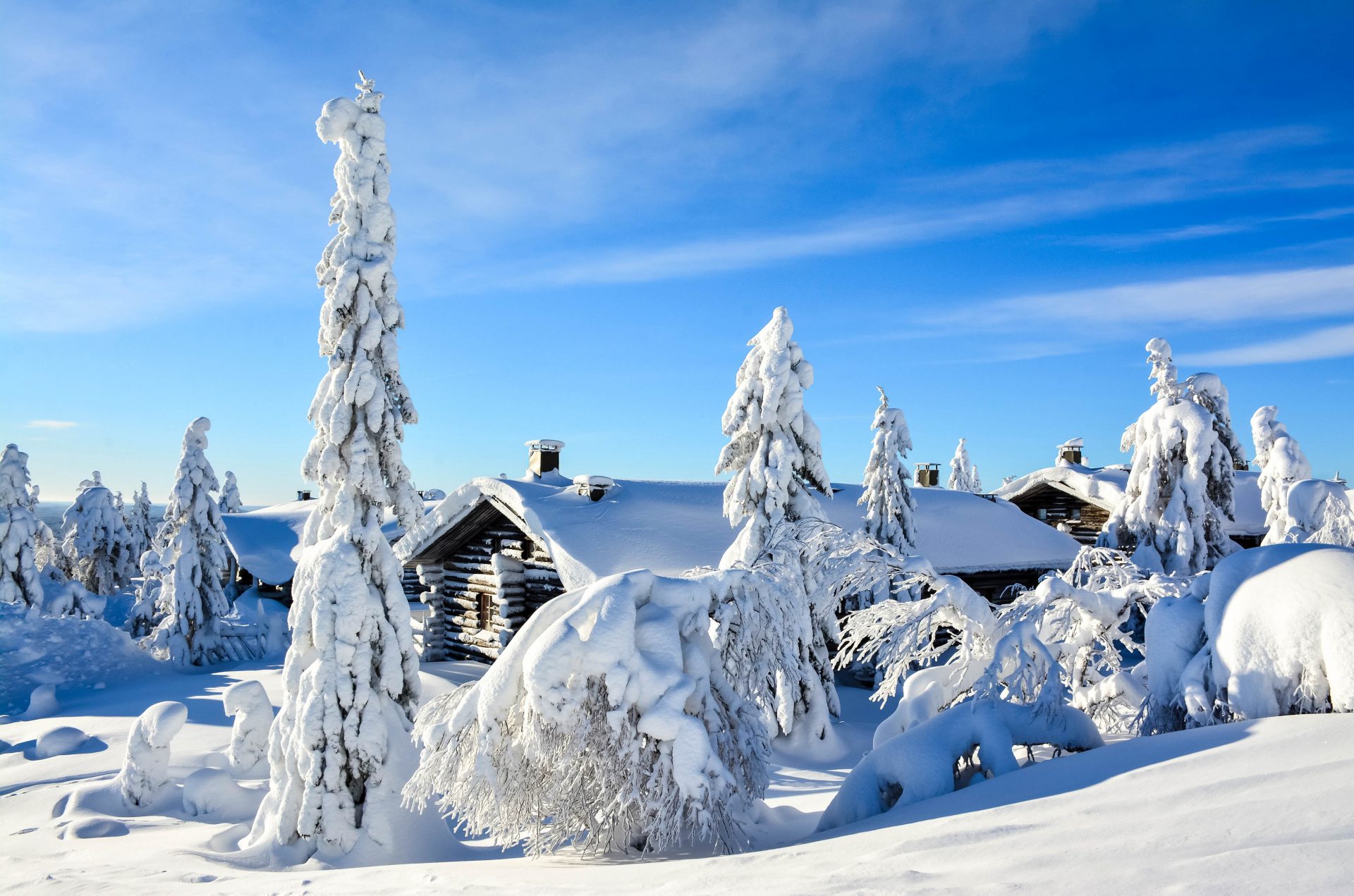 Die Polarlichter in Lappland sehen: Ein Wintertraum wird wahr!