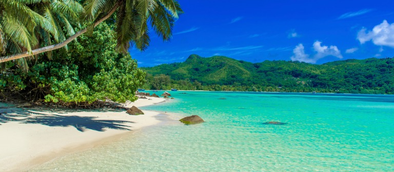 Tropical Island Angebote November Tropical Island Angebote November
