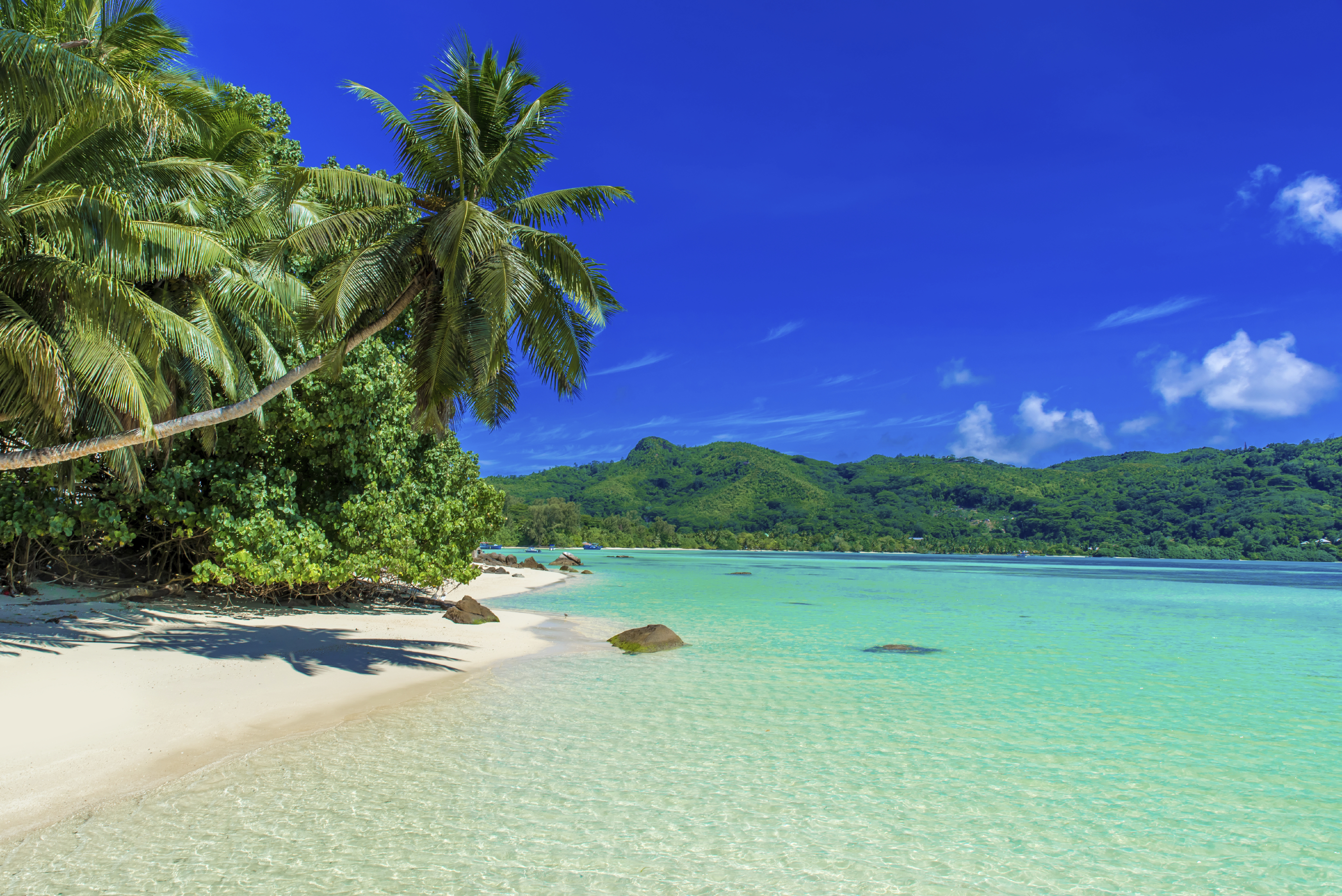 Urlaubsguru Tropical Island Urlaubsguru Tropical Island