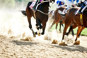 Vakantiebestemmingen_Augustus_Evenementen_Festivals_Palio di Siena Pferderennen